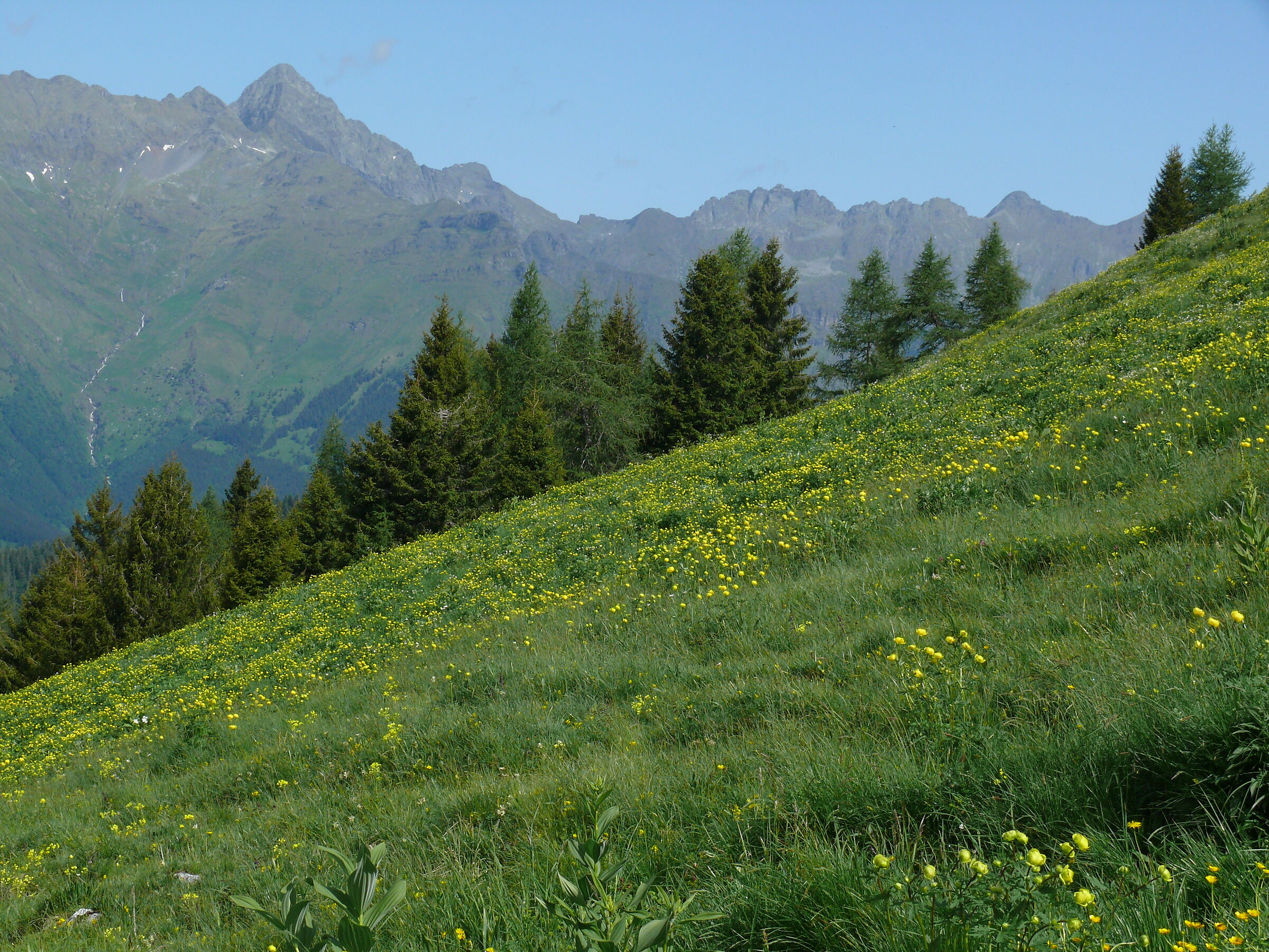 La Montagna: flora, fauna, paesaggio e fatica