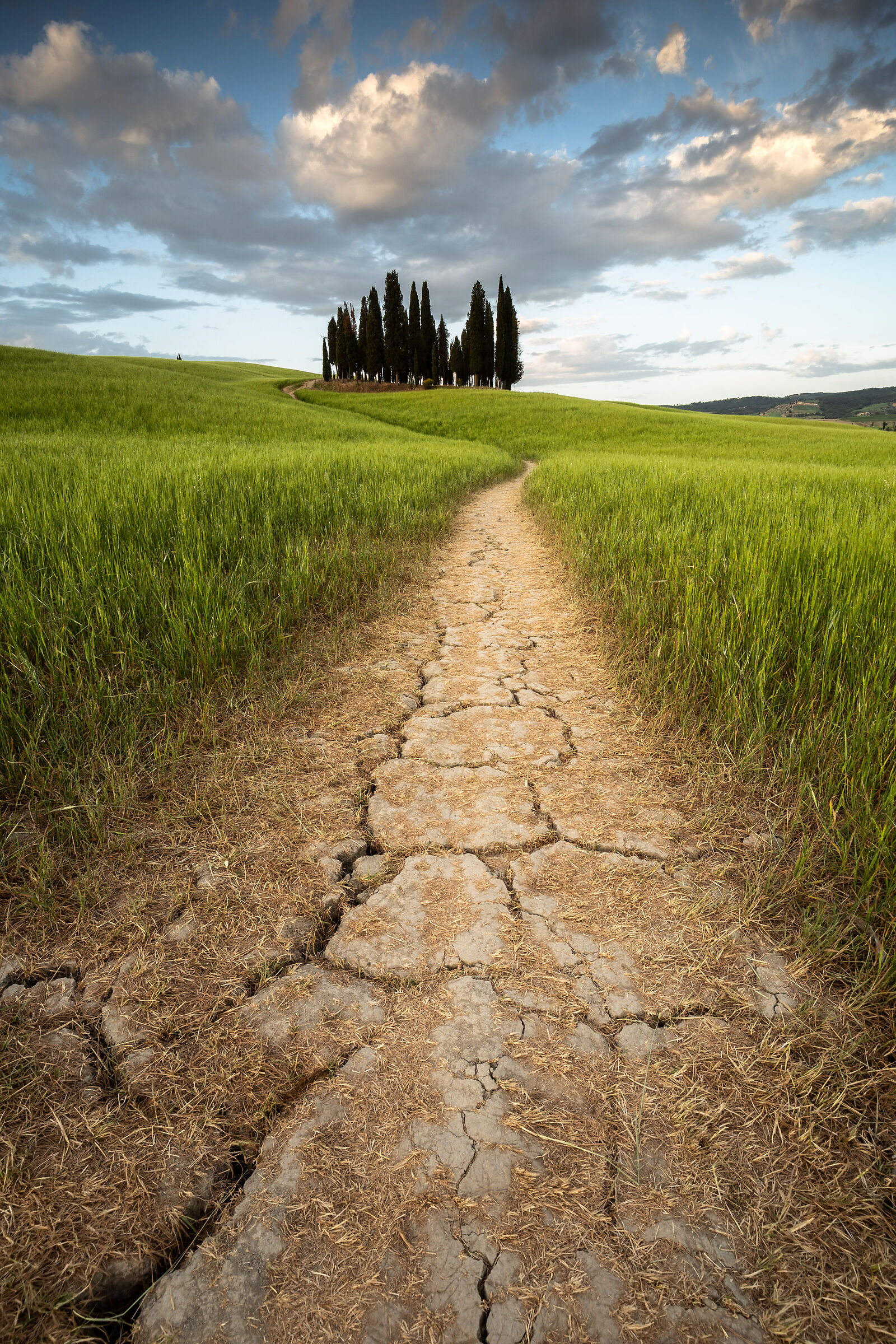 A Tuscan classic