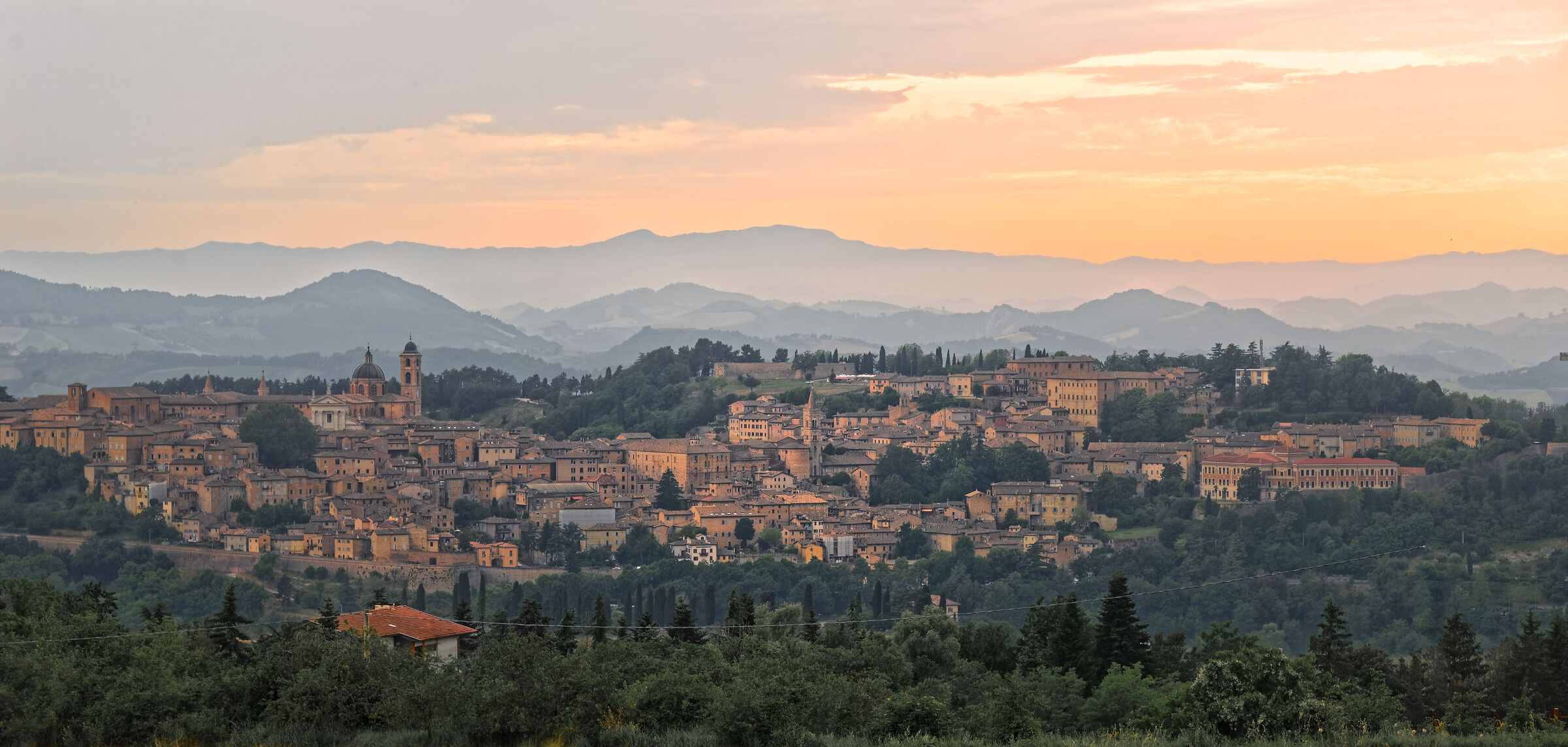 Urbino (Italy)