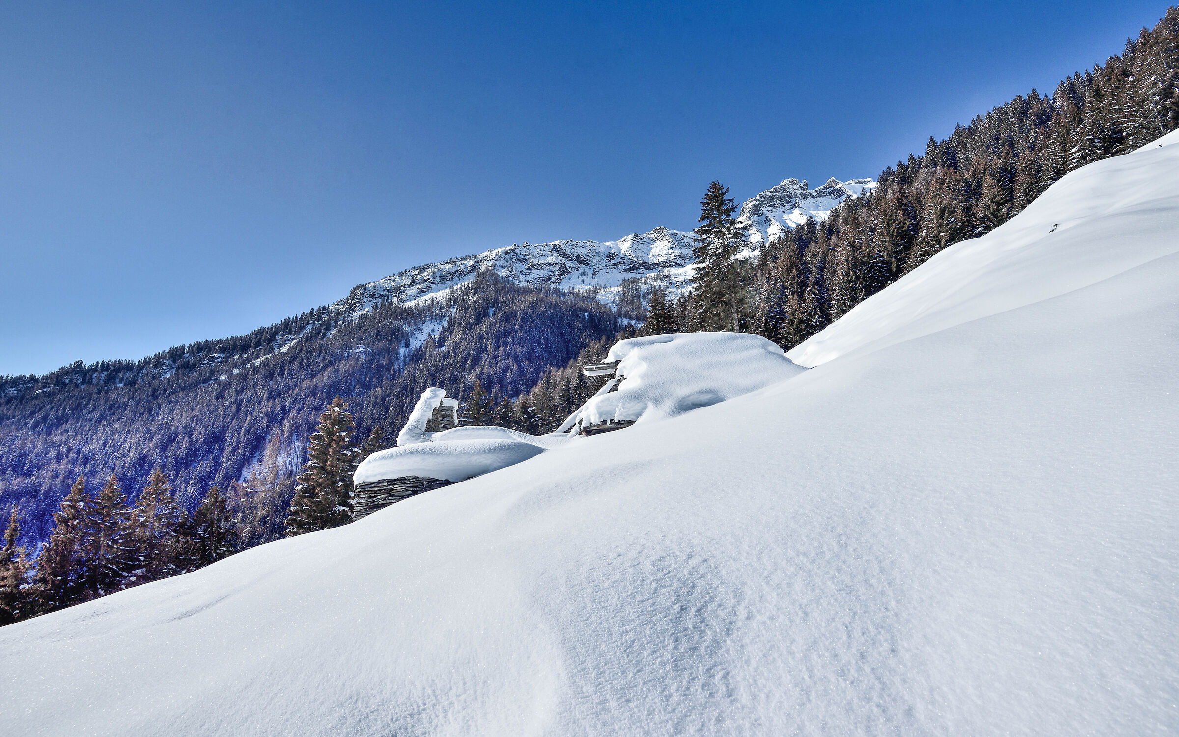 snowshoeing Foppiano di Crodo-Alpe Voma-Alpe Prepiana on