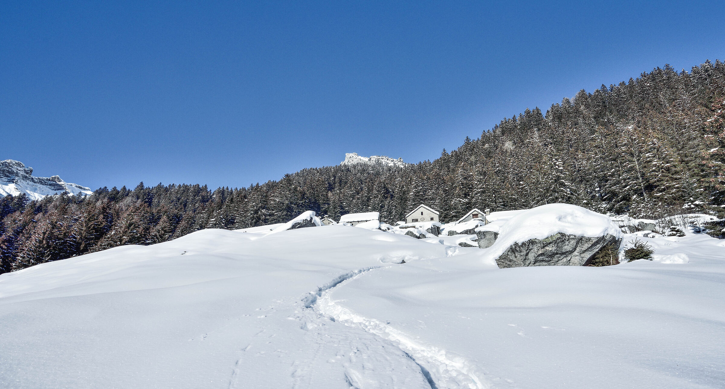snowshoeing Foppiano di Crodo-Alpe Voma-Alpe Prepiana on
