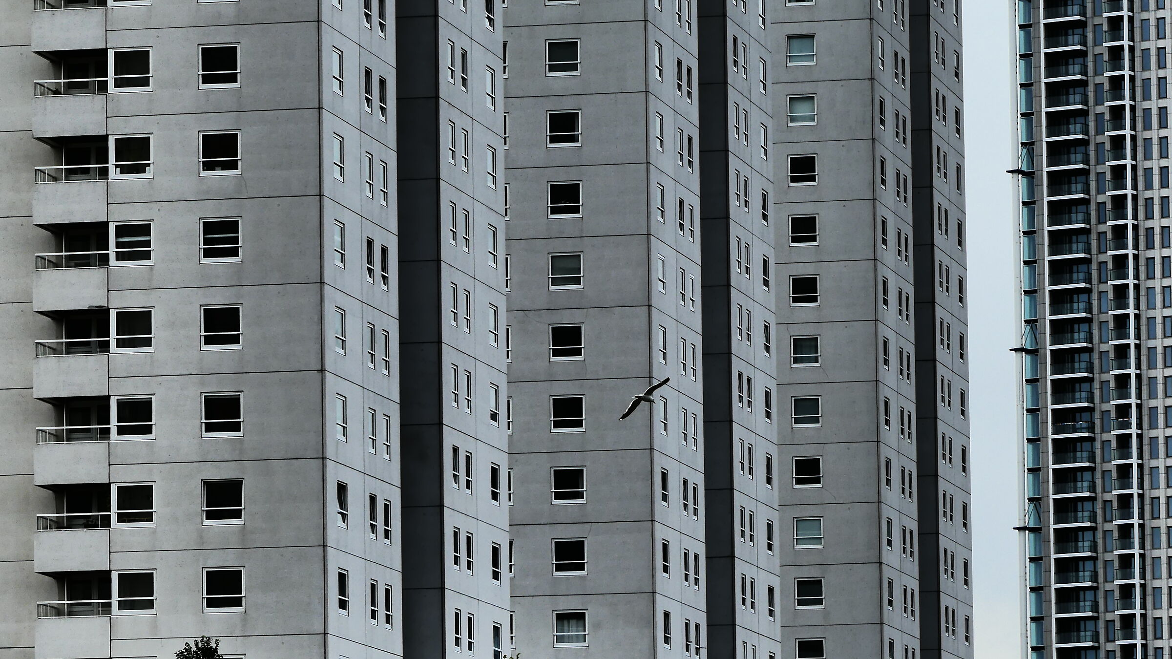 The flight within the walls