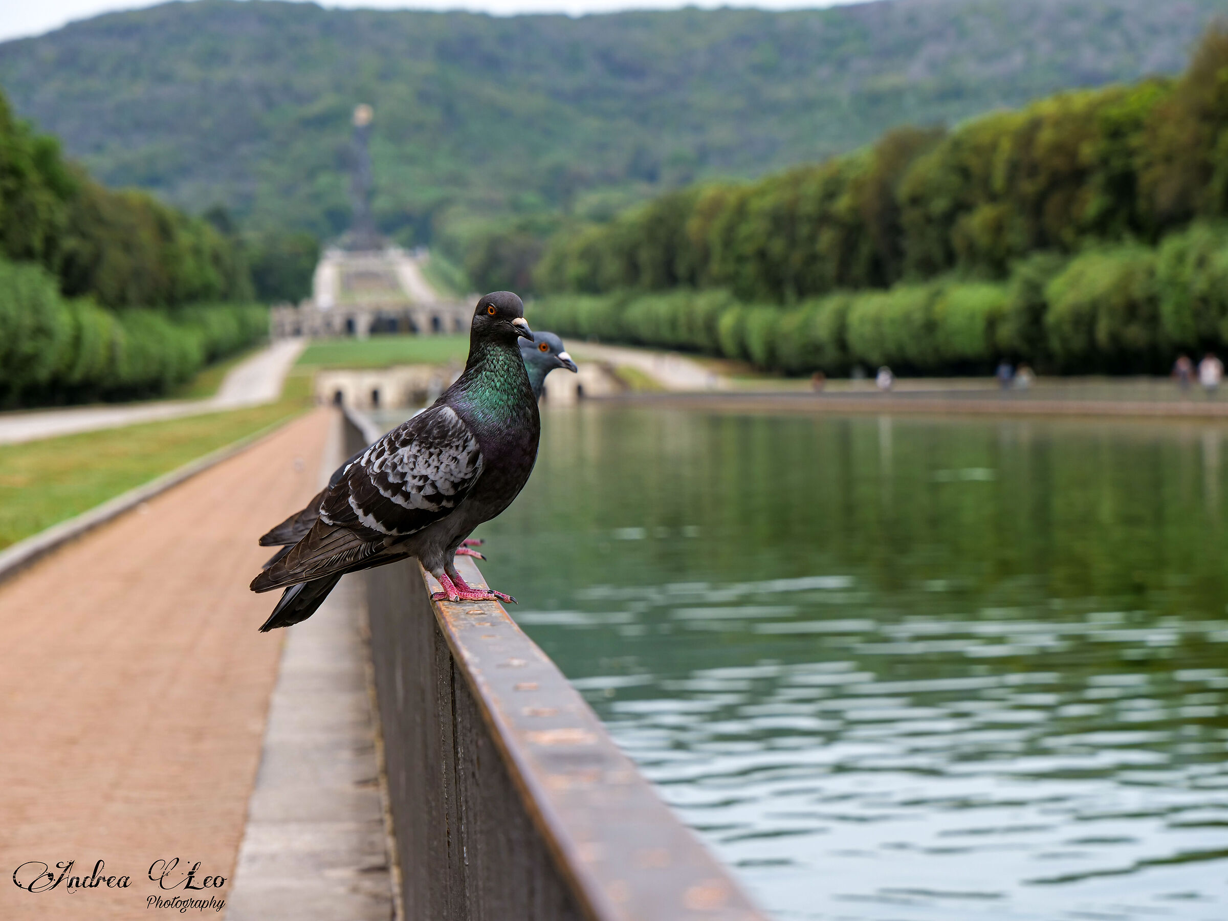 Reggia di Caserta - Guardiani di Patrimoni