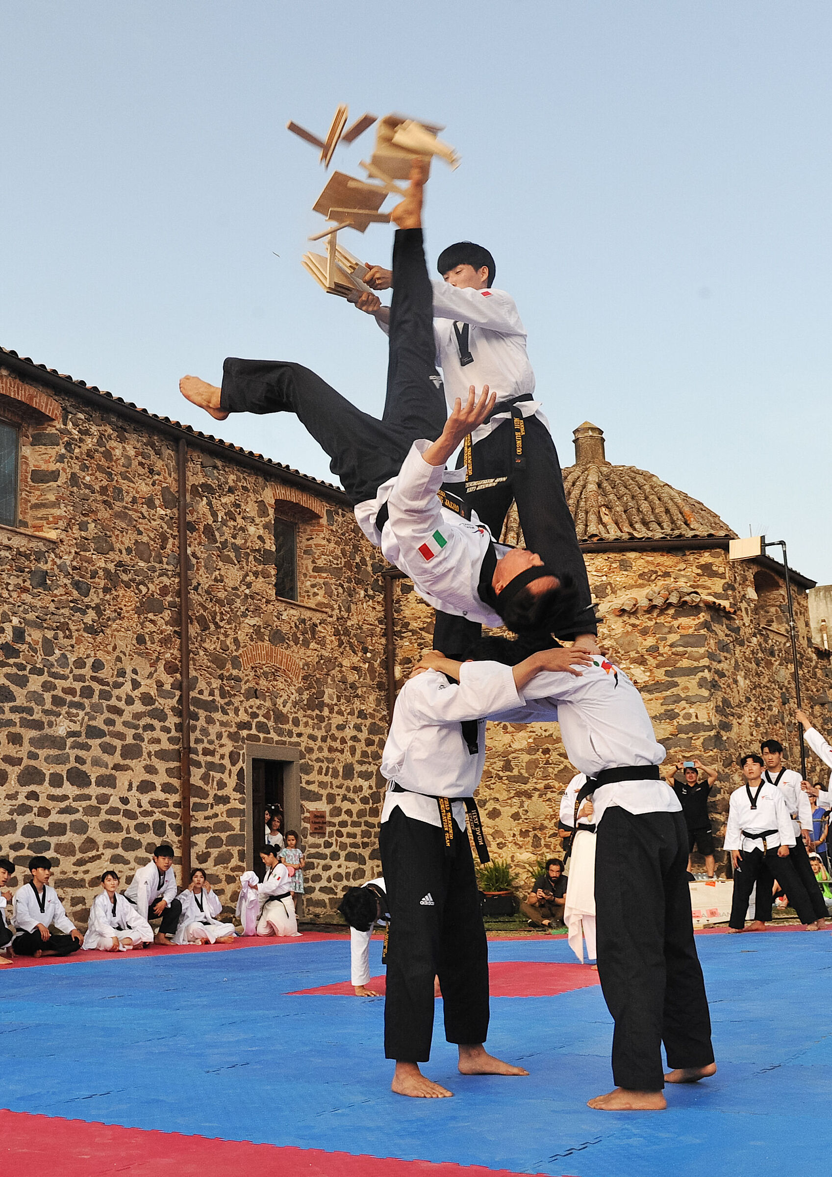 World Taekwondo Demo Team