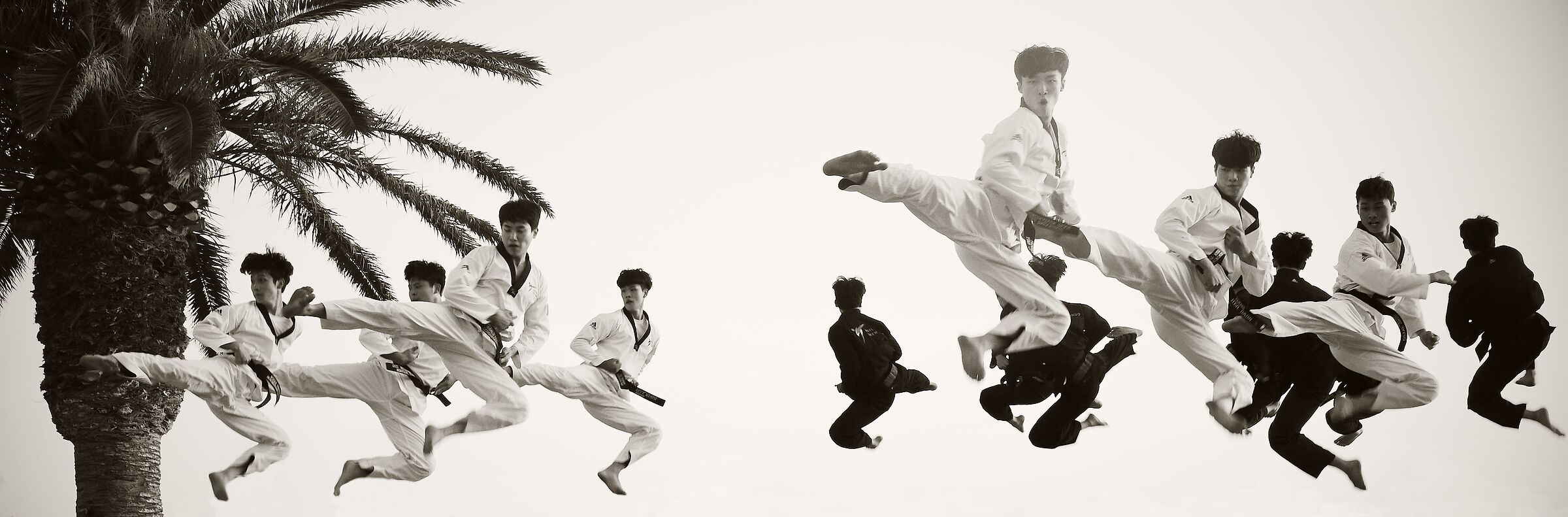 World Taekwondo Demo Team