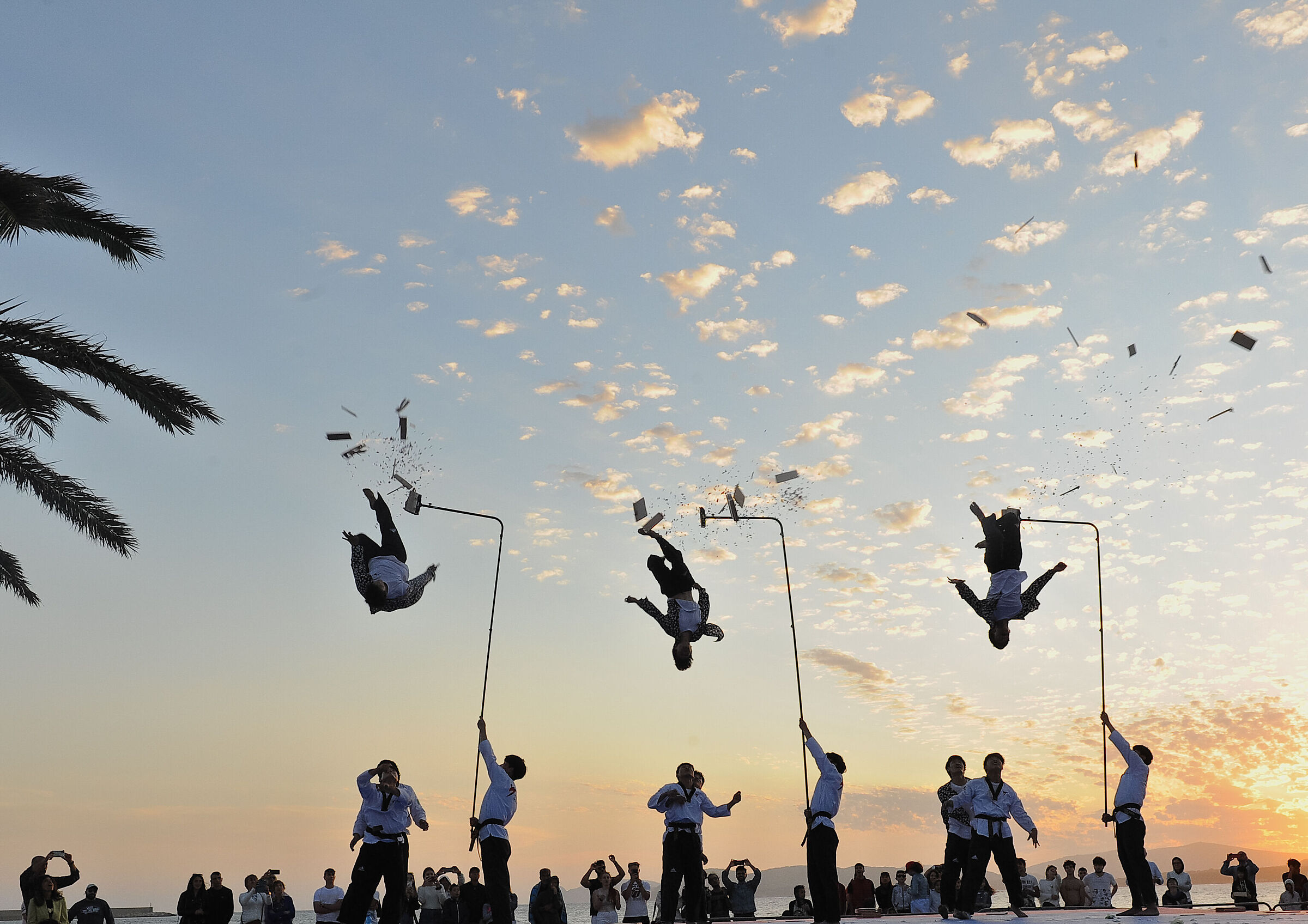 World Taekwondo Demo Team