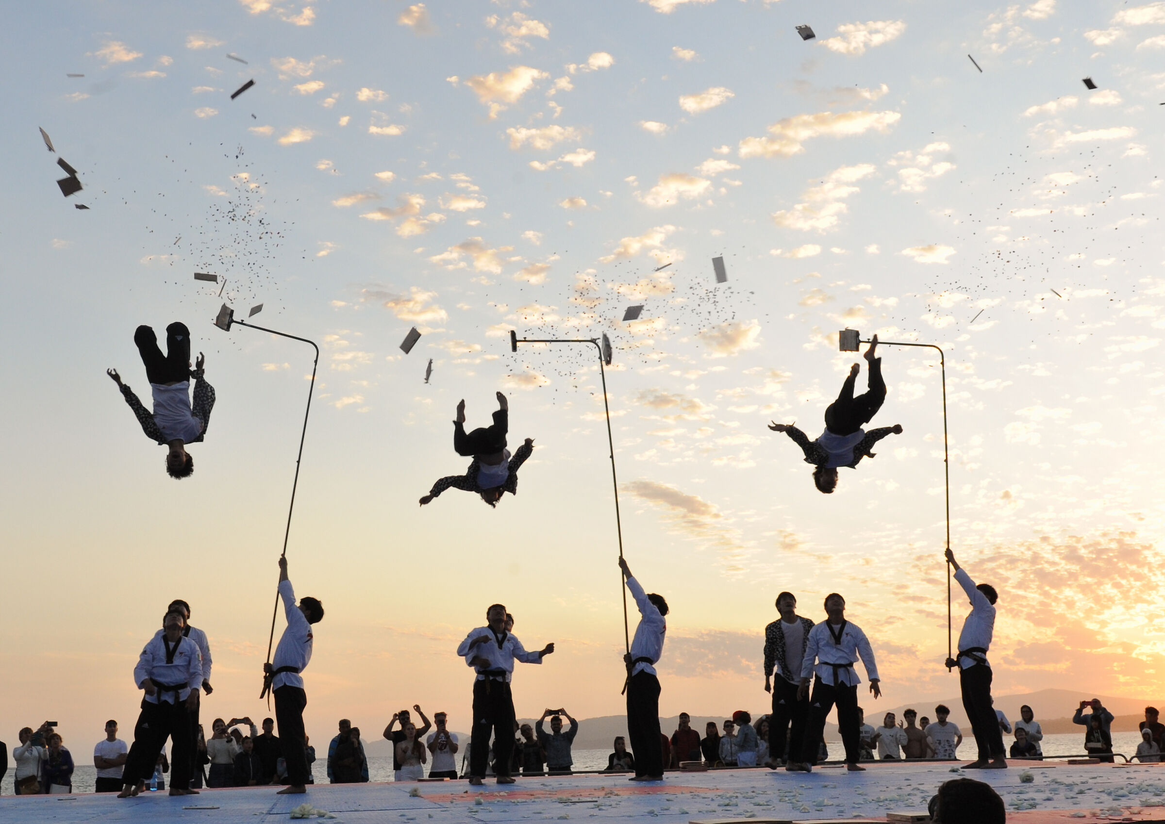 World Taekwondo Demo Team