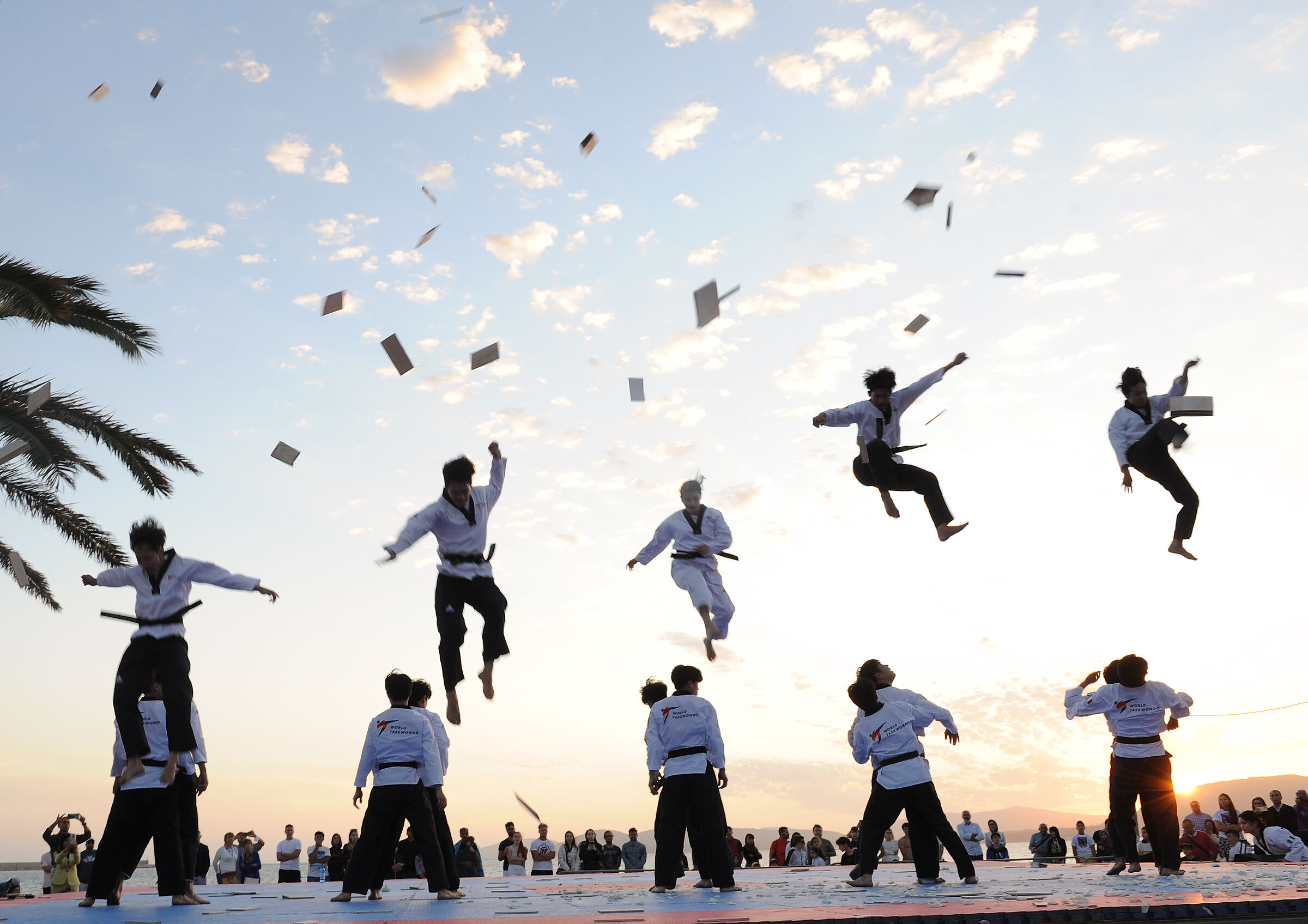 World Taekwondo Demo Team