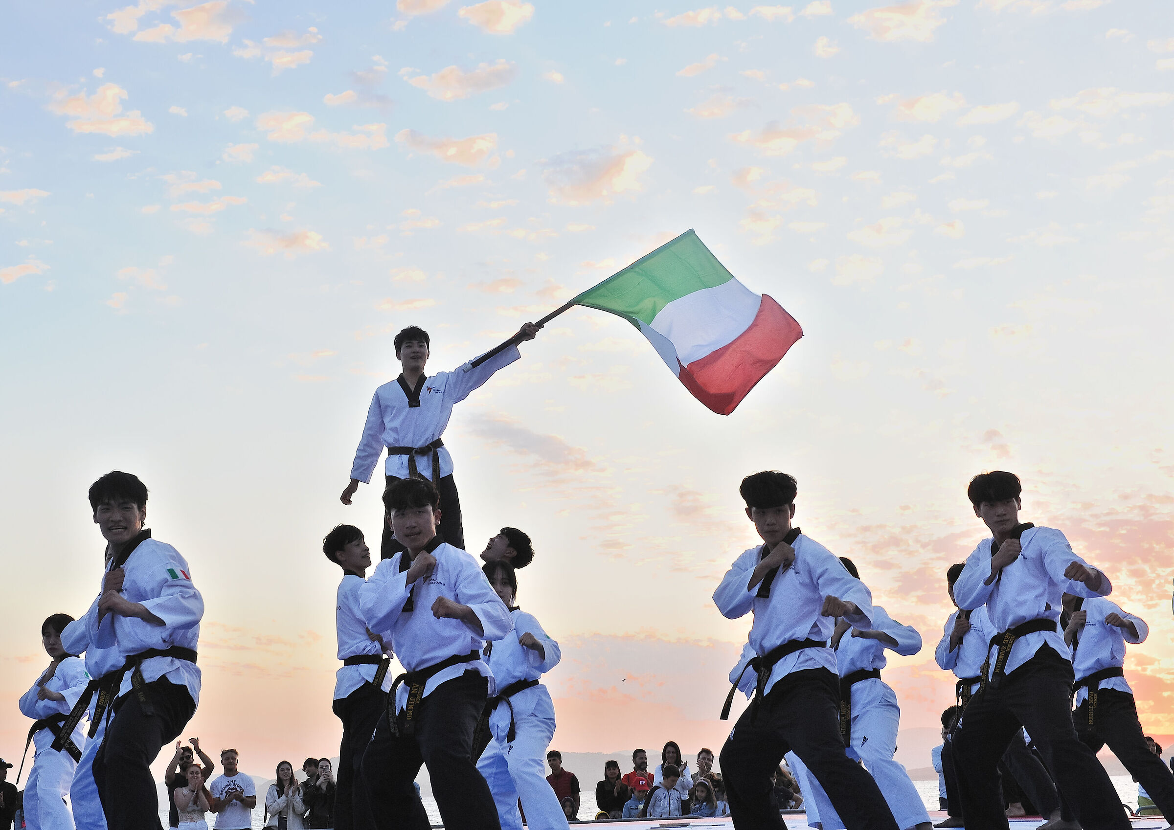World Taekwondo Demo Team