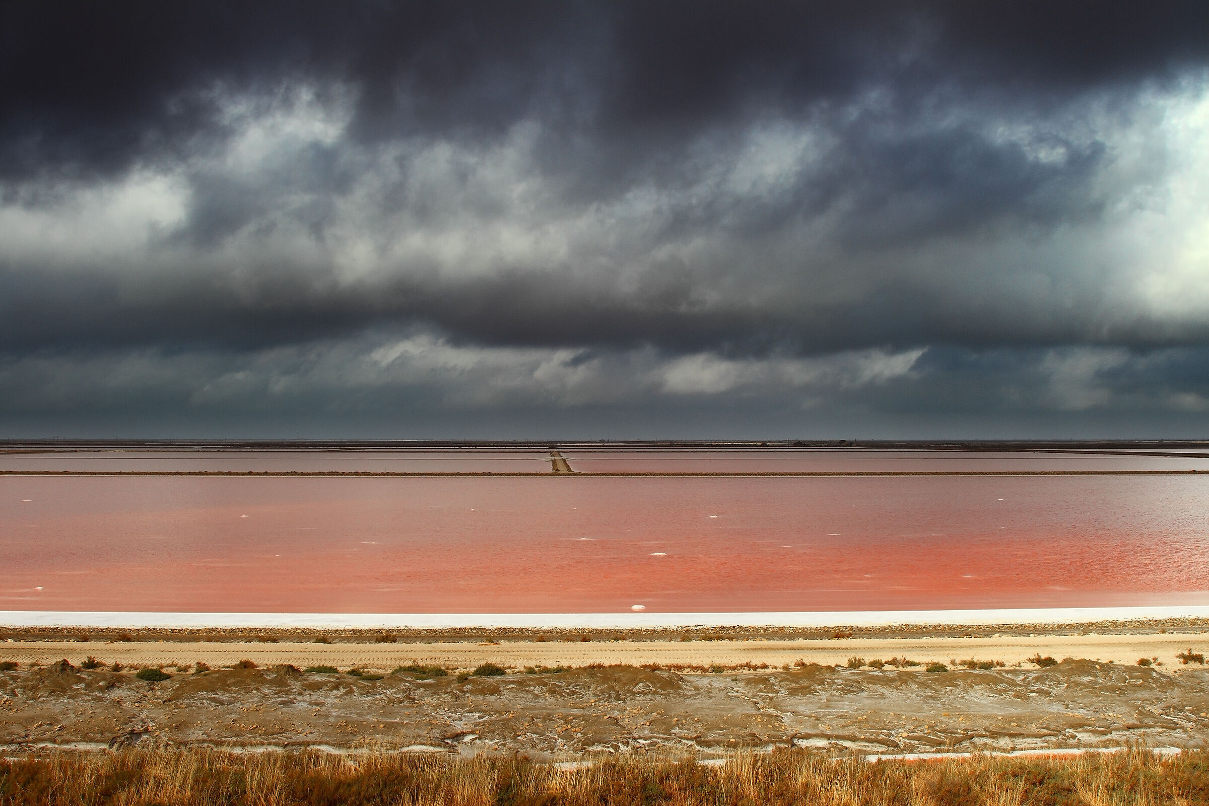 Bonjour Camargue