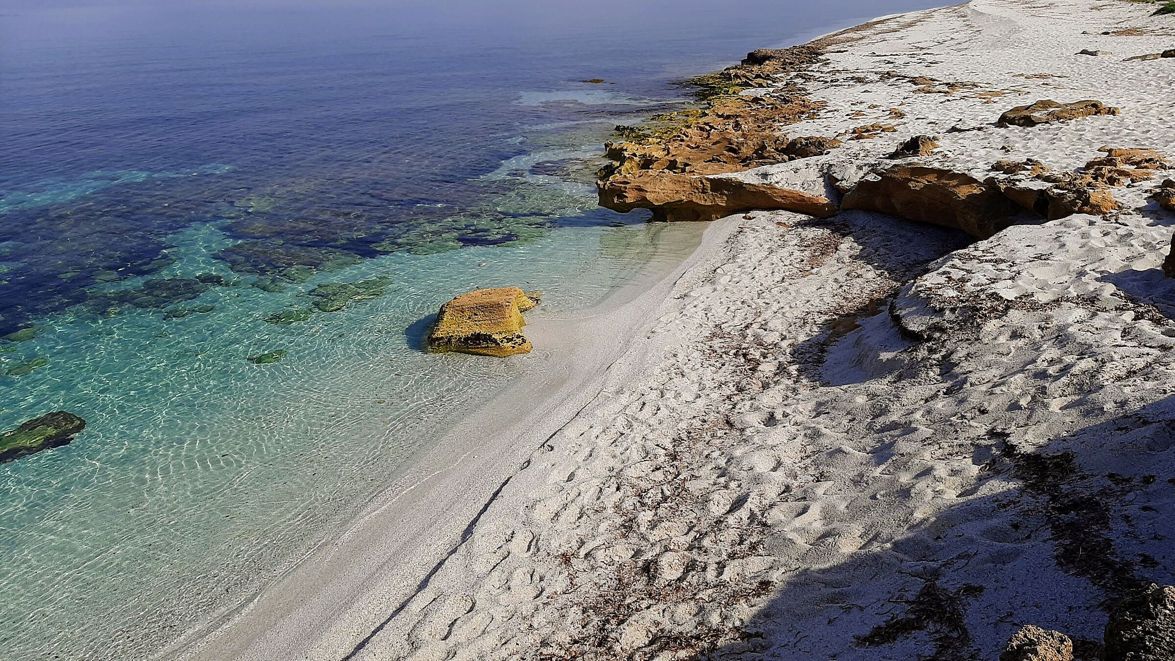Is Aruttas S. Vero Milis