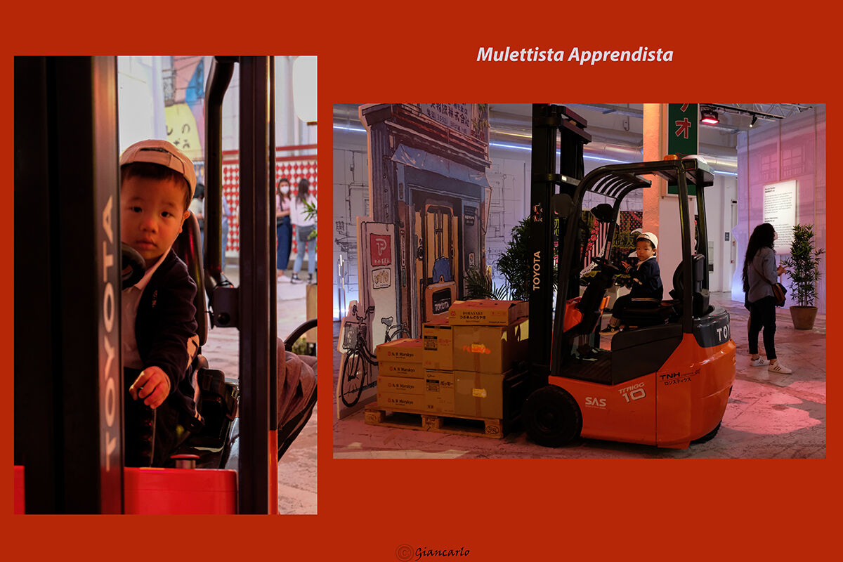 Mulettista Apprendista