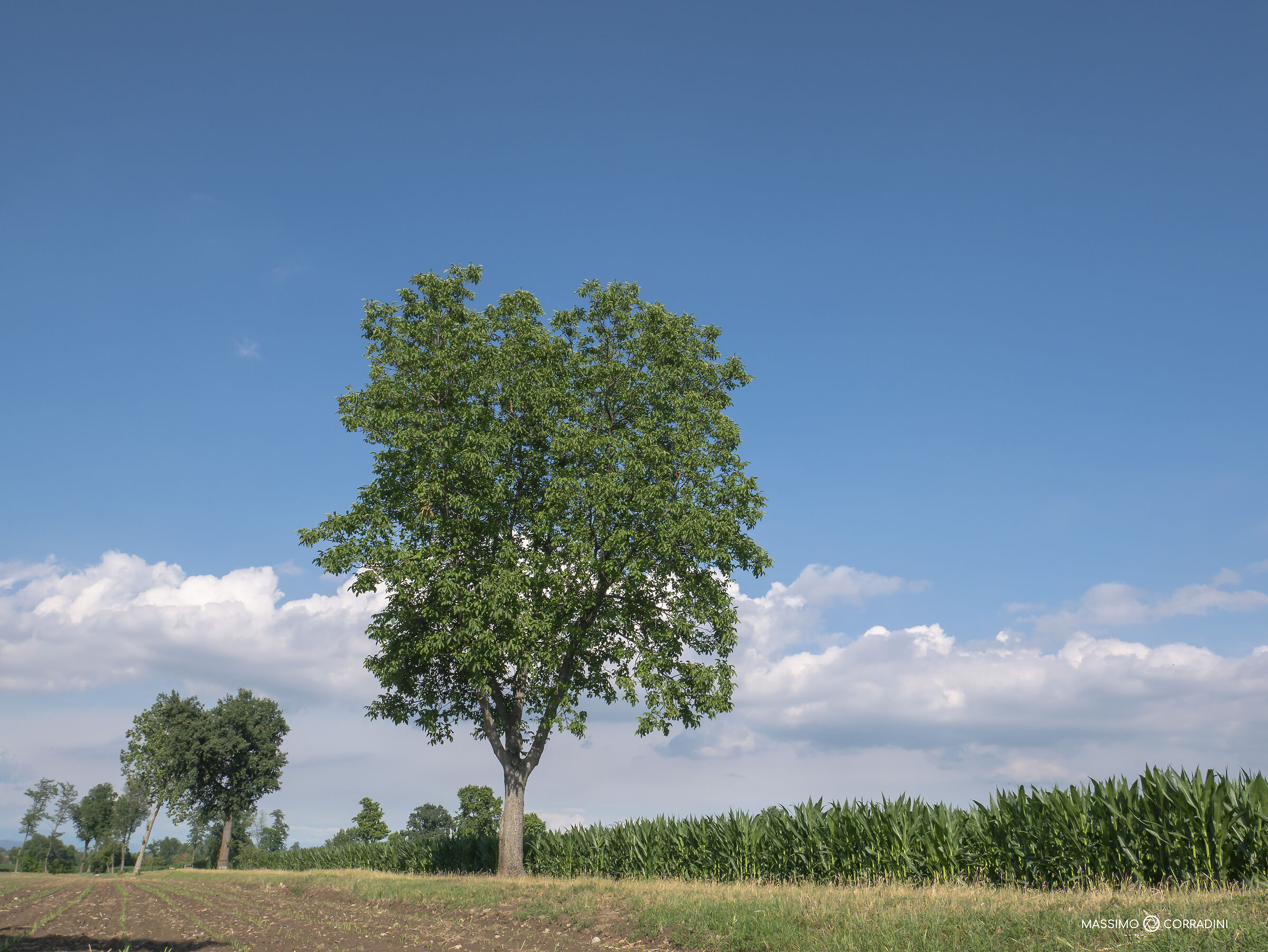 Passeggiata in campagna