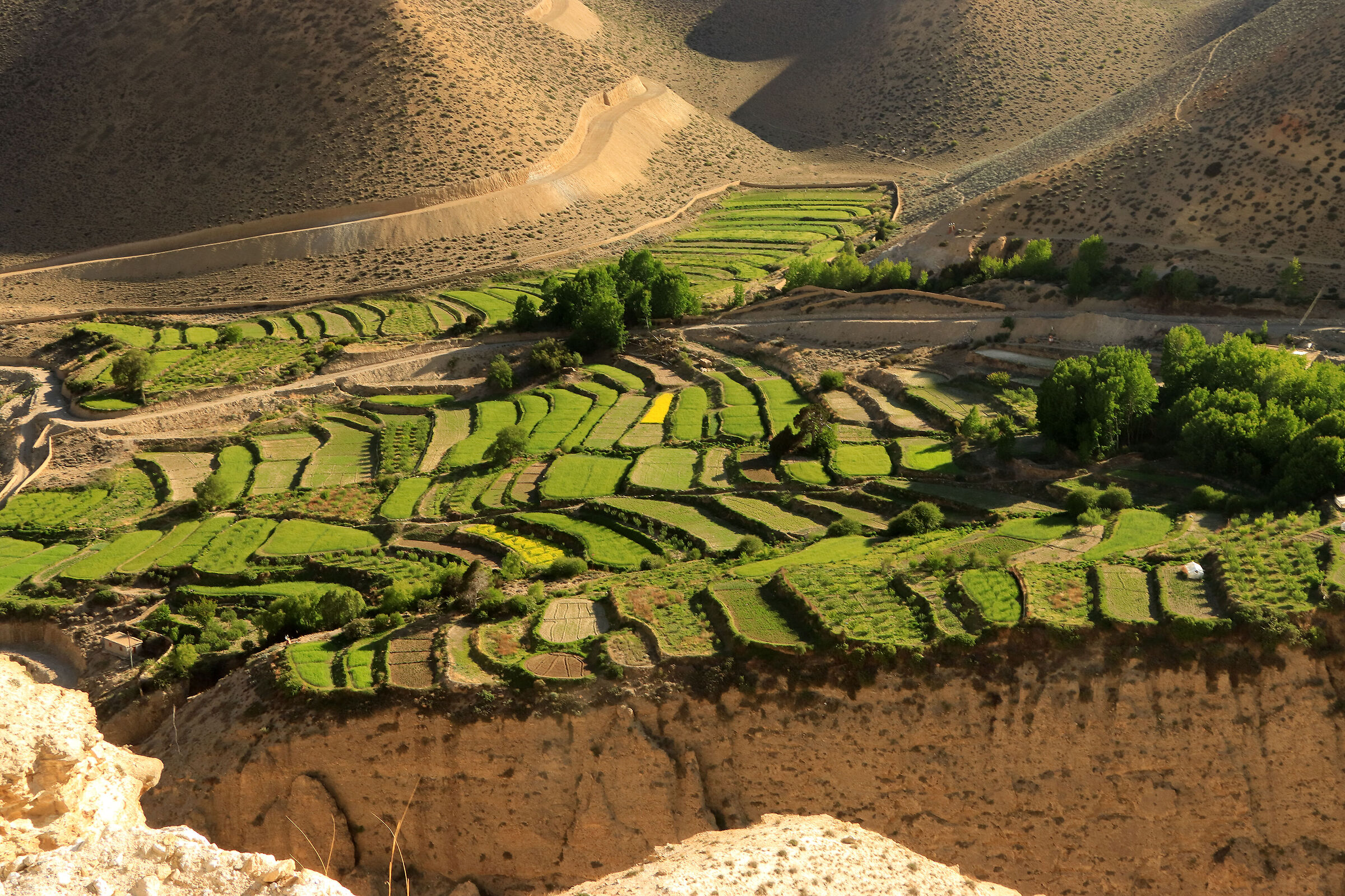 Samar - cultures at 3,700 m