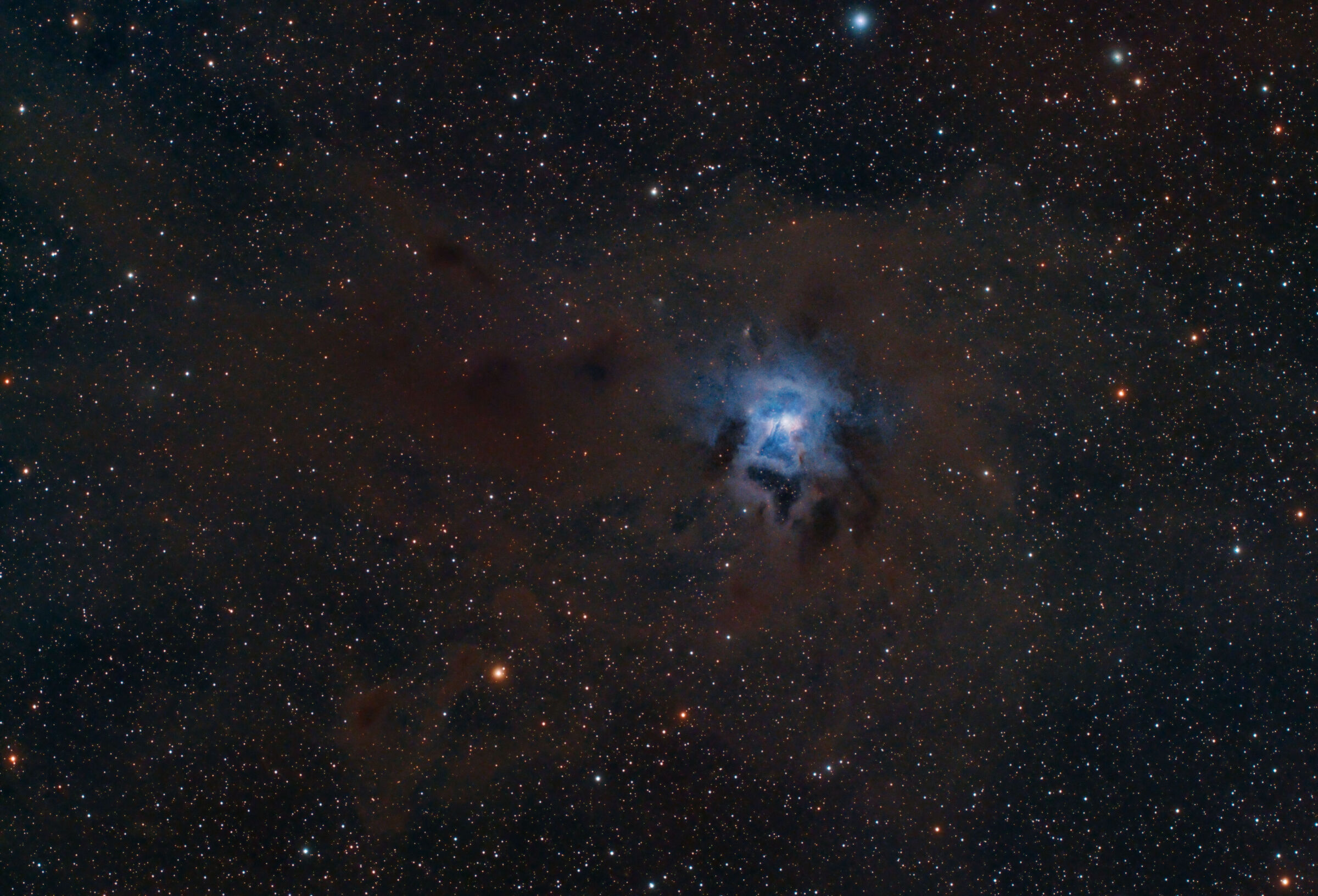 Iris nebula ngc7023