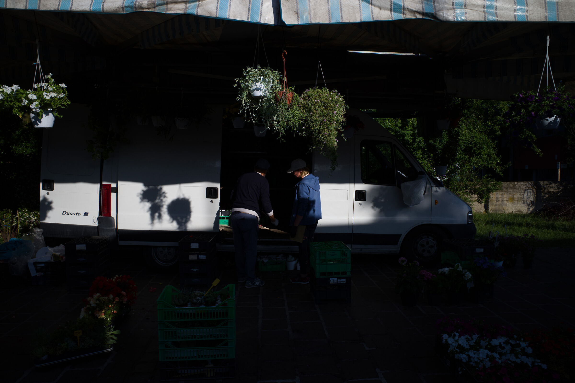 Ravenna Market (2) - first exit GRIII