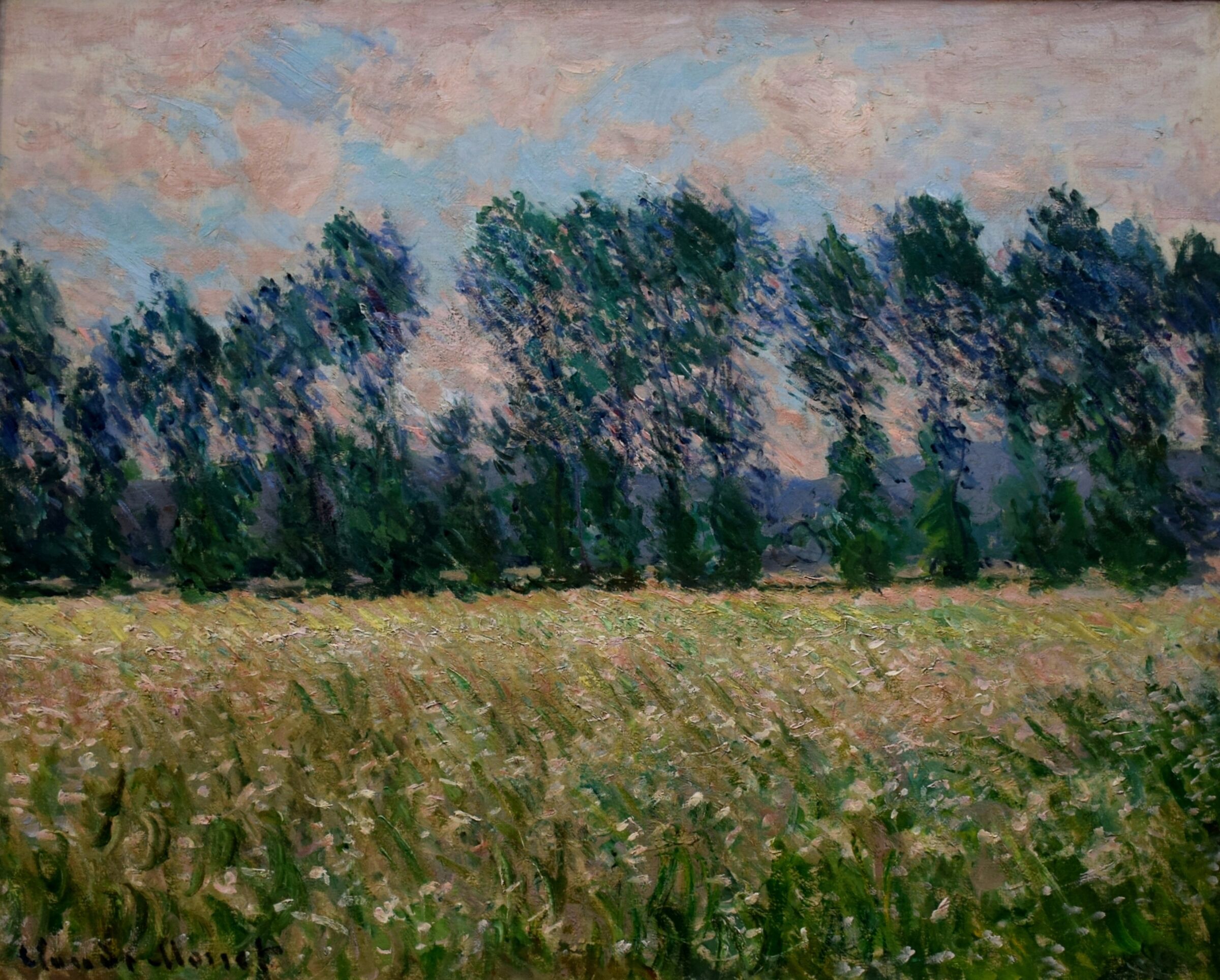 Claude Monet "Prato a Giverny"