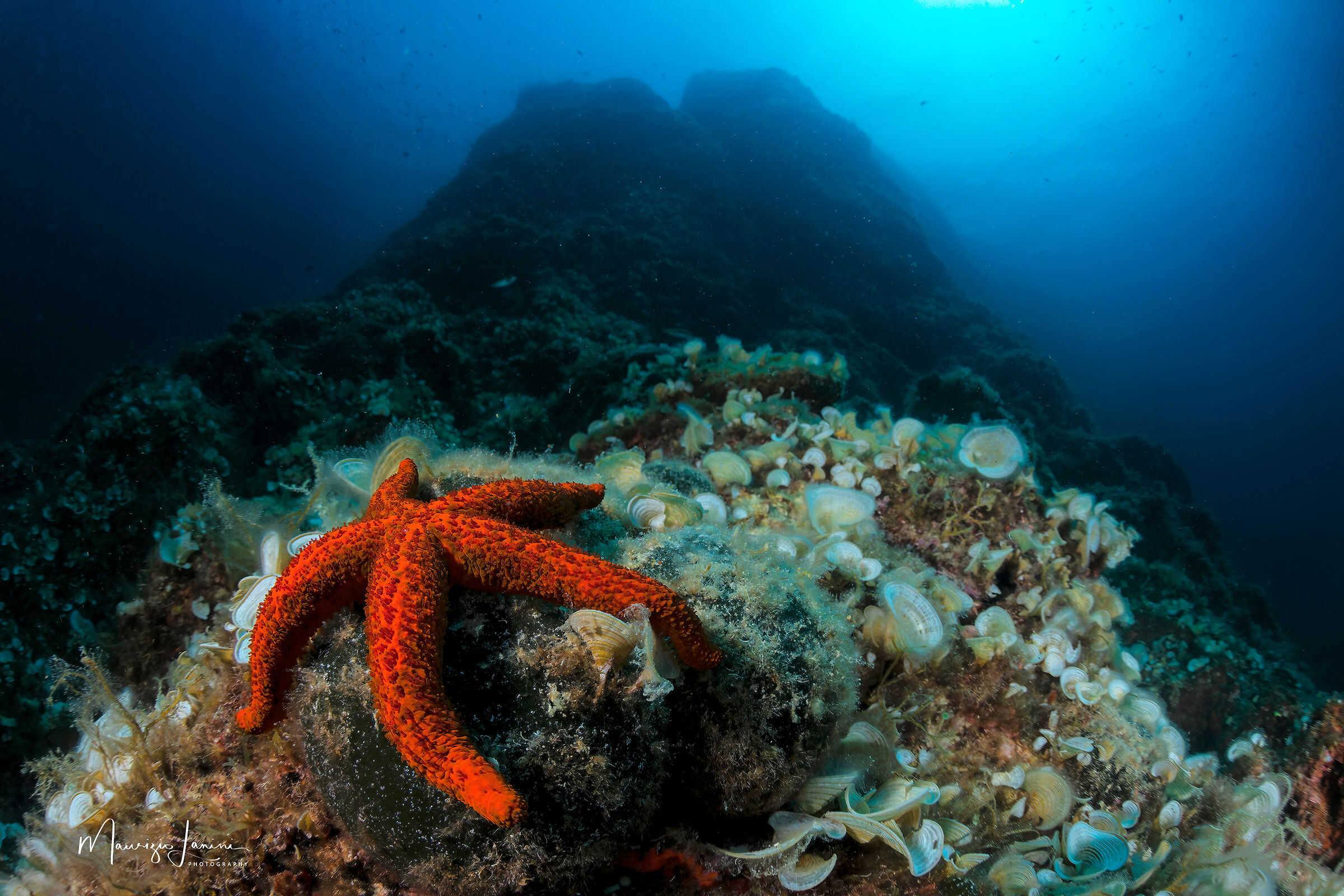 Uno sguardo verso la superficie