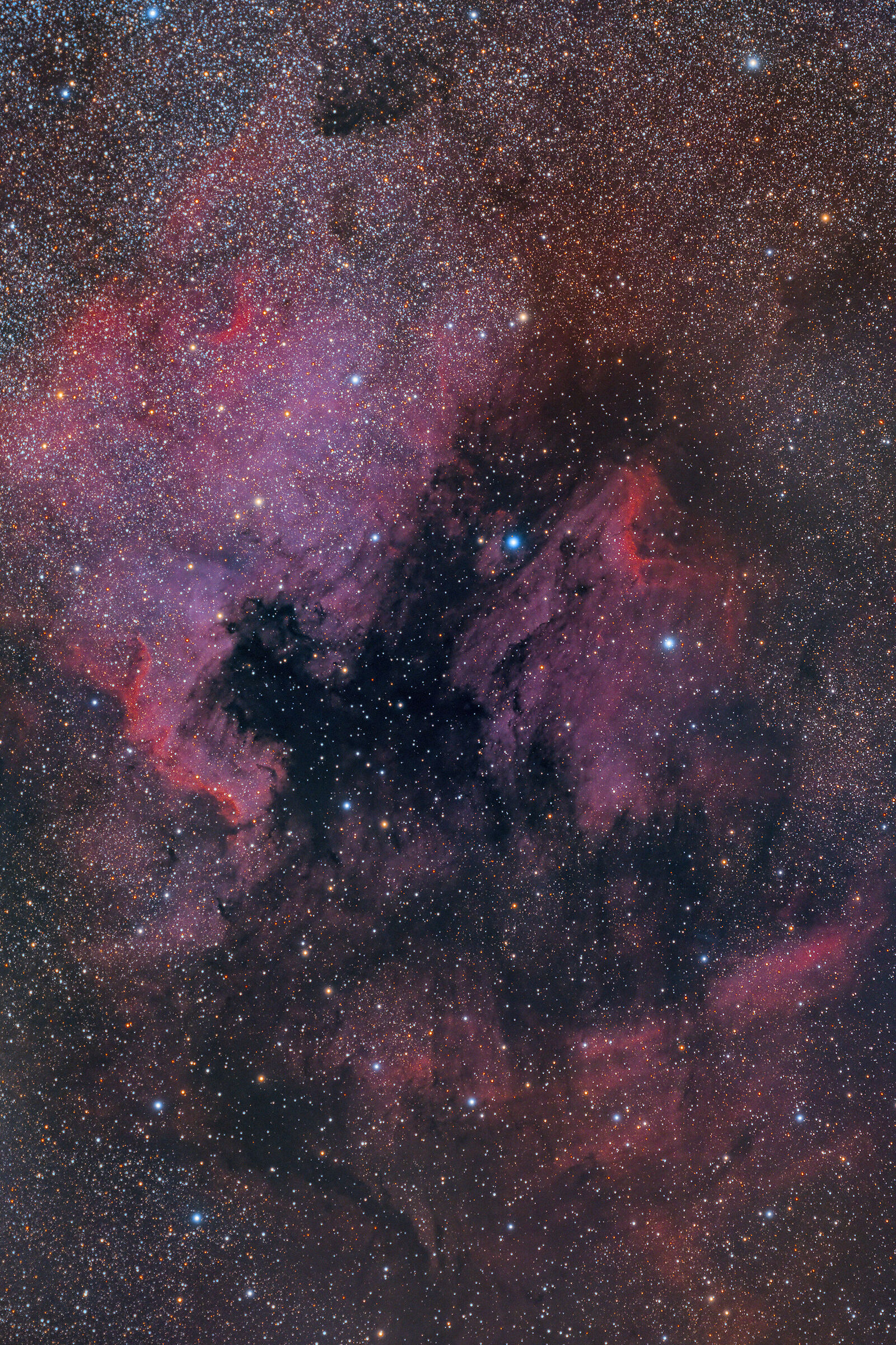 Largo campo sulla Nord America e Pellicano - lrgb