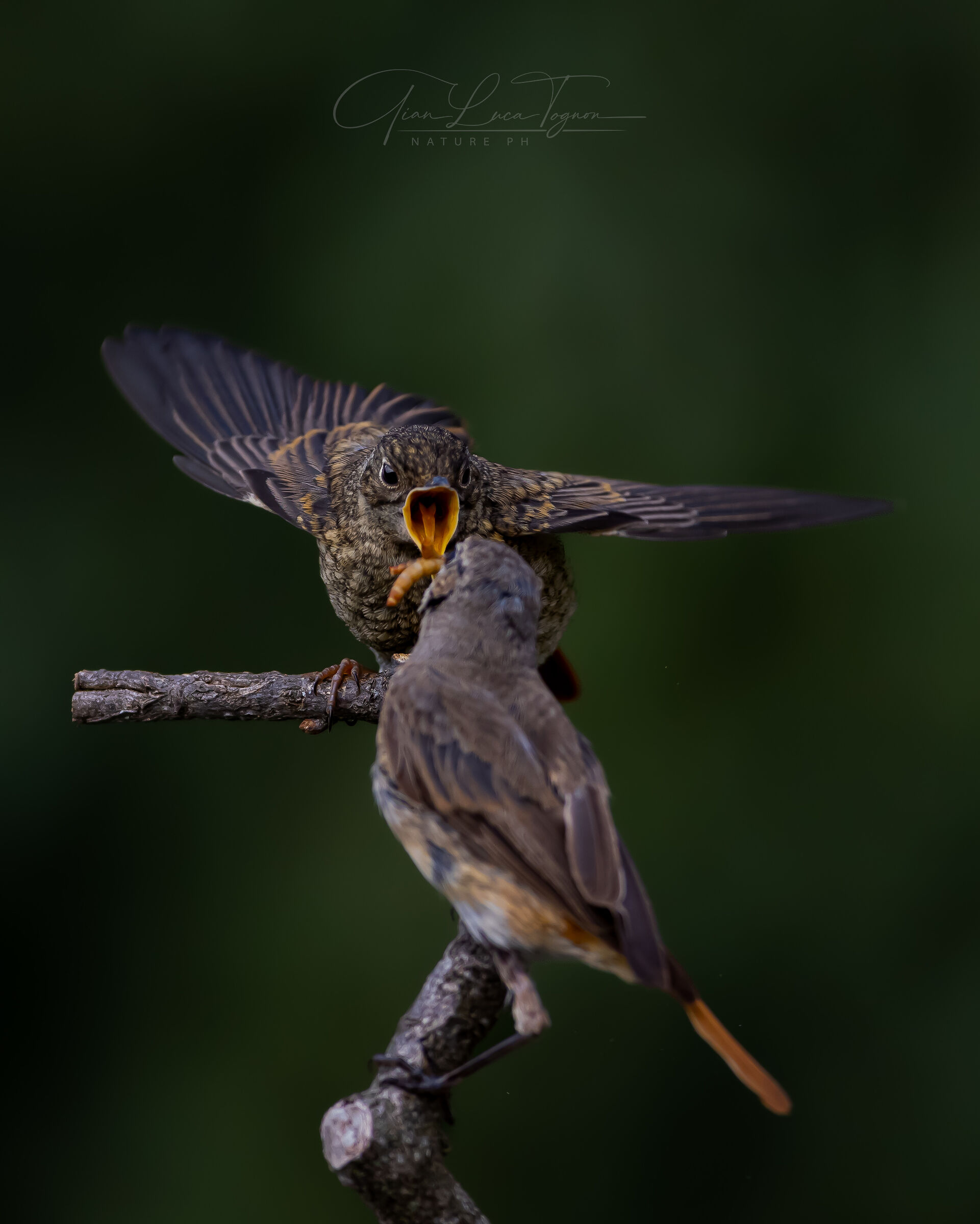 Mamma e figlio - Mum and son