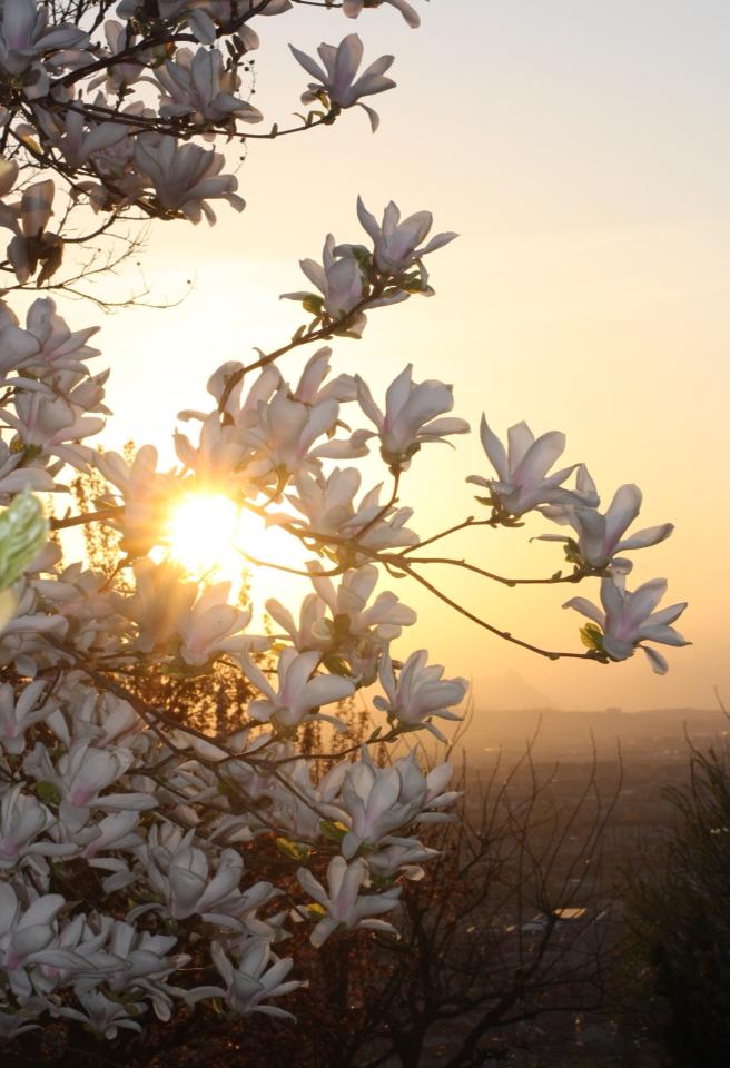 tramonto di primavera