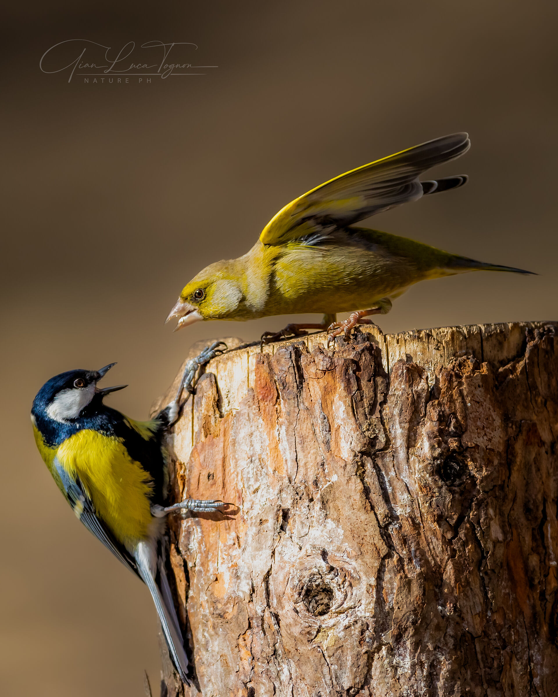 Non ti scaldare così!