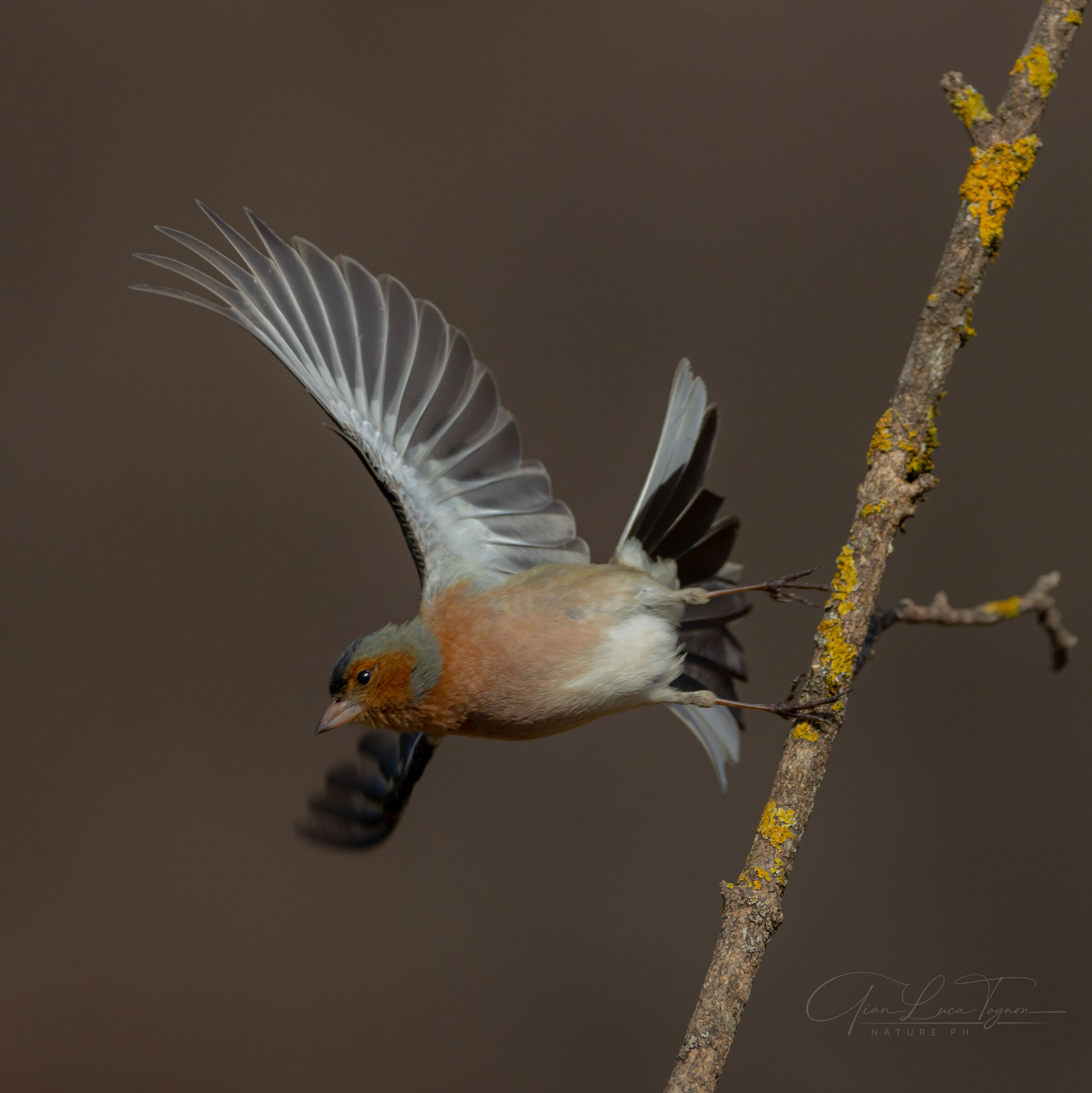 È ora di andare ... | It's time to go ...