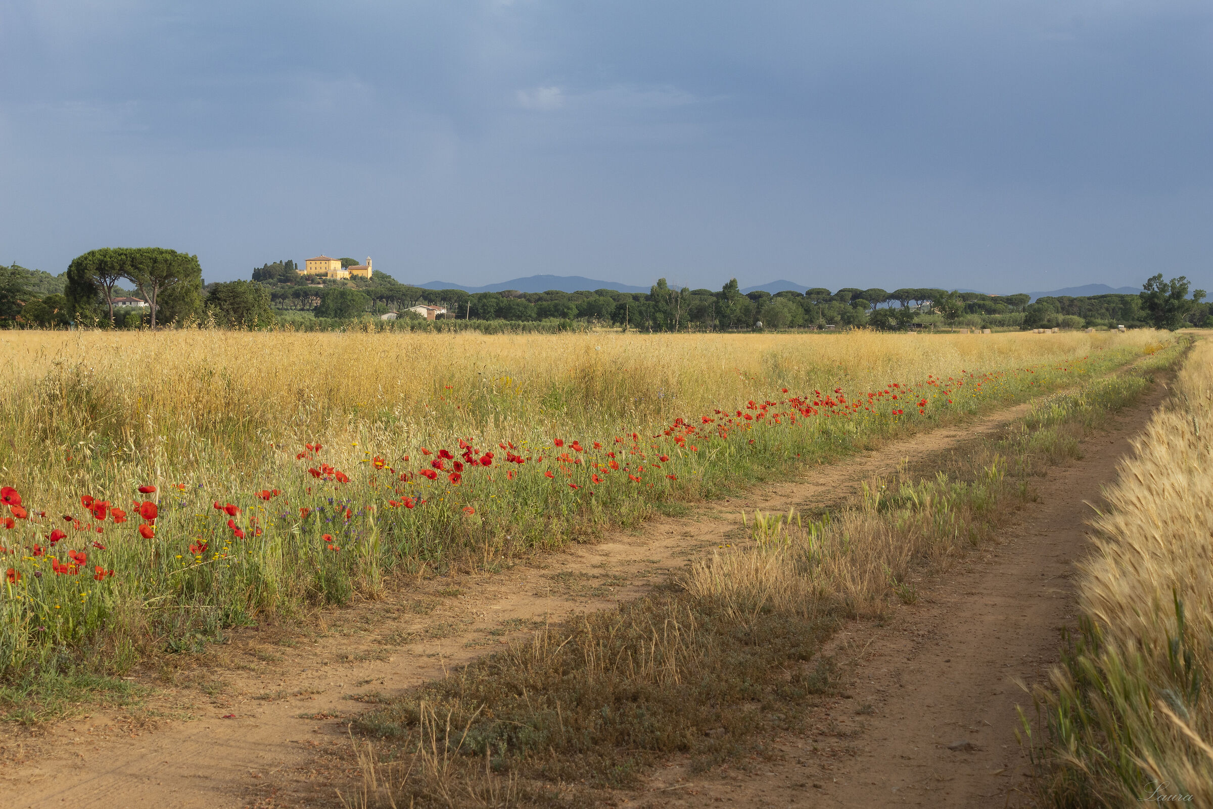 Sarà la strada giusta?