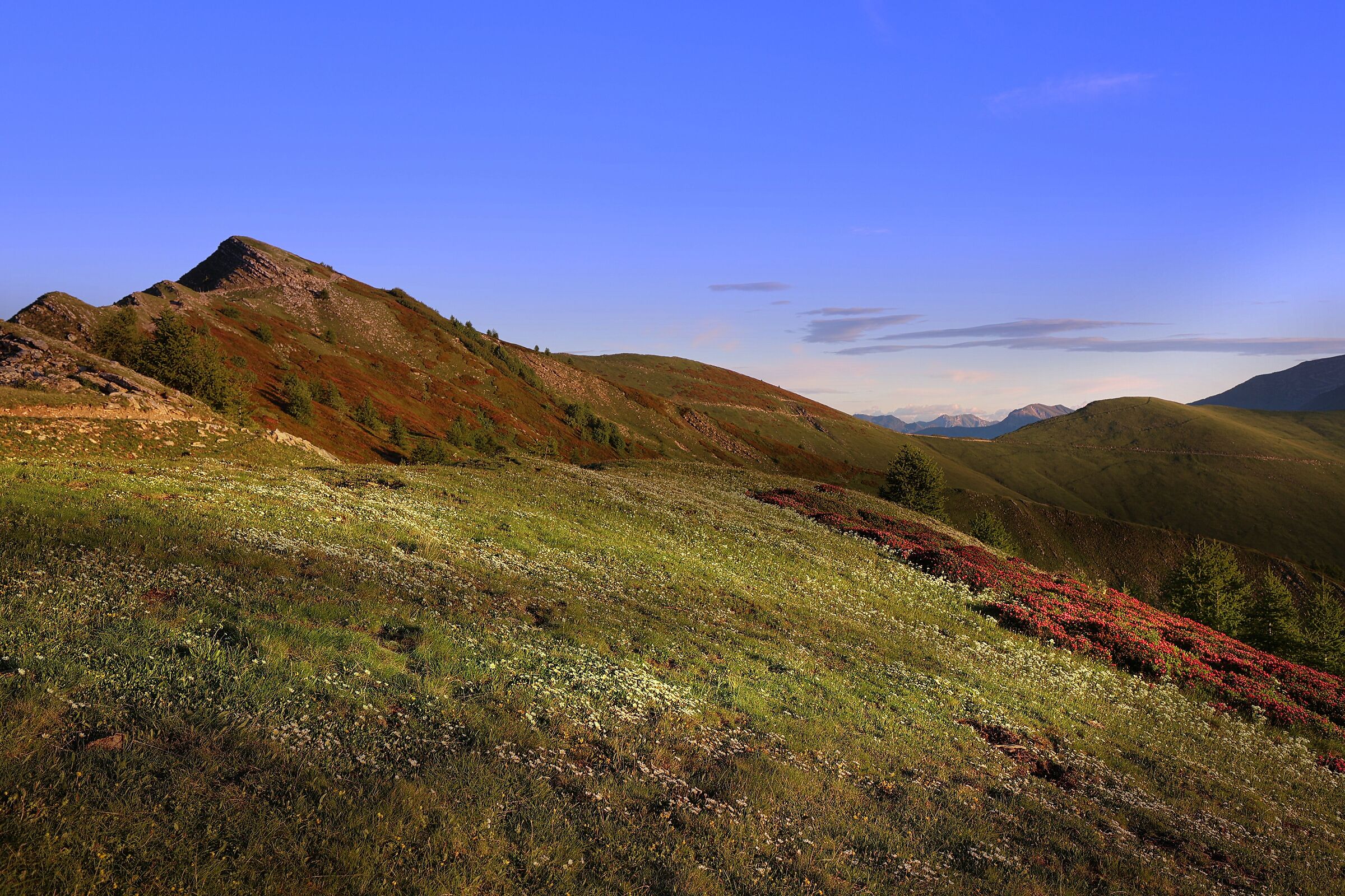 Dipinto naturale in Liguria