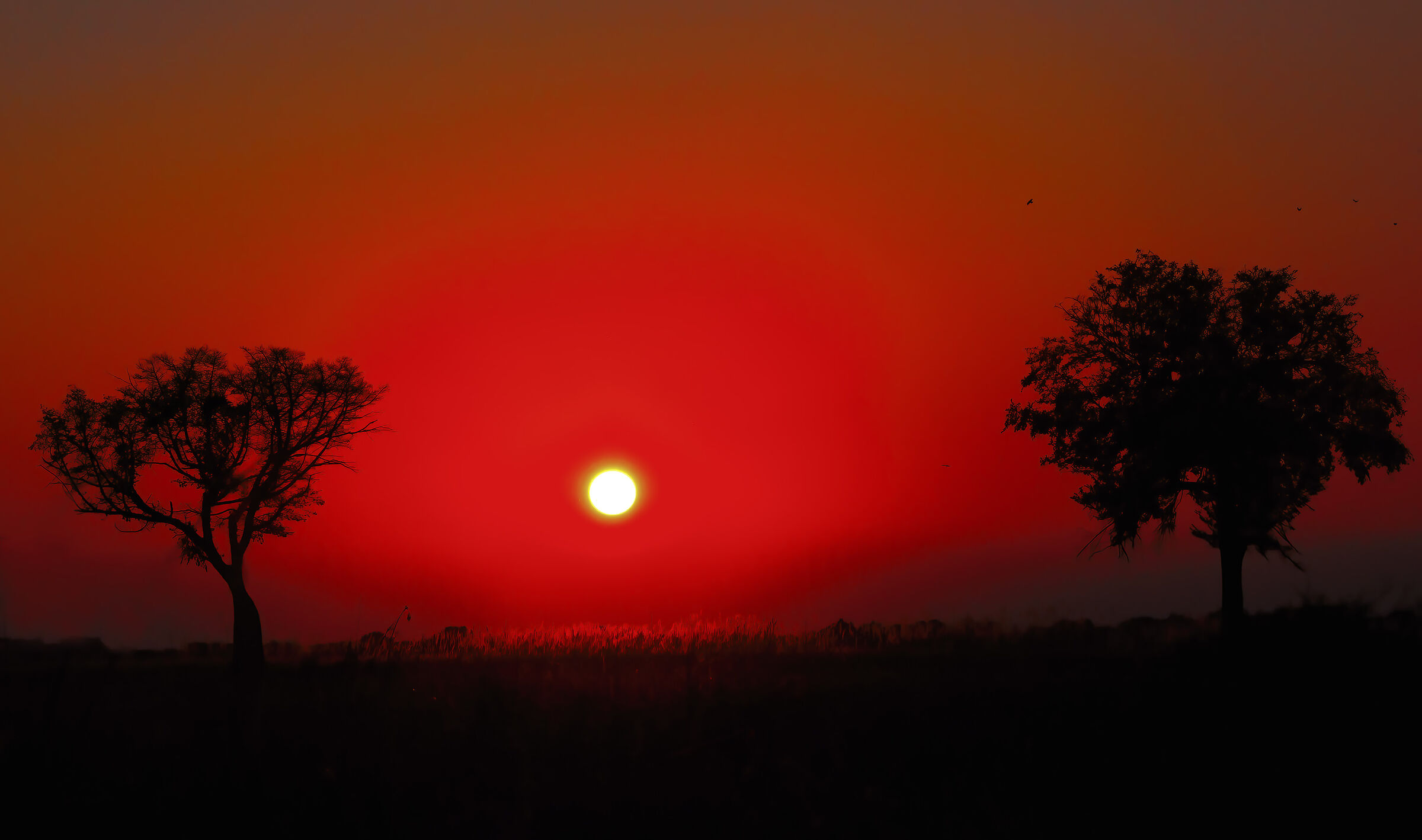 Sunset in the delta (of the Okavango)