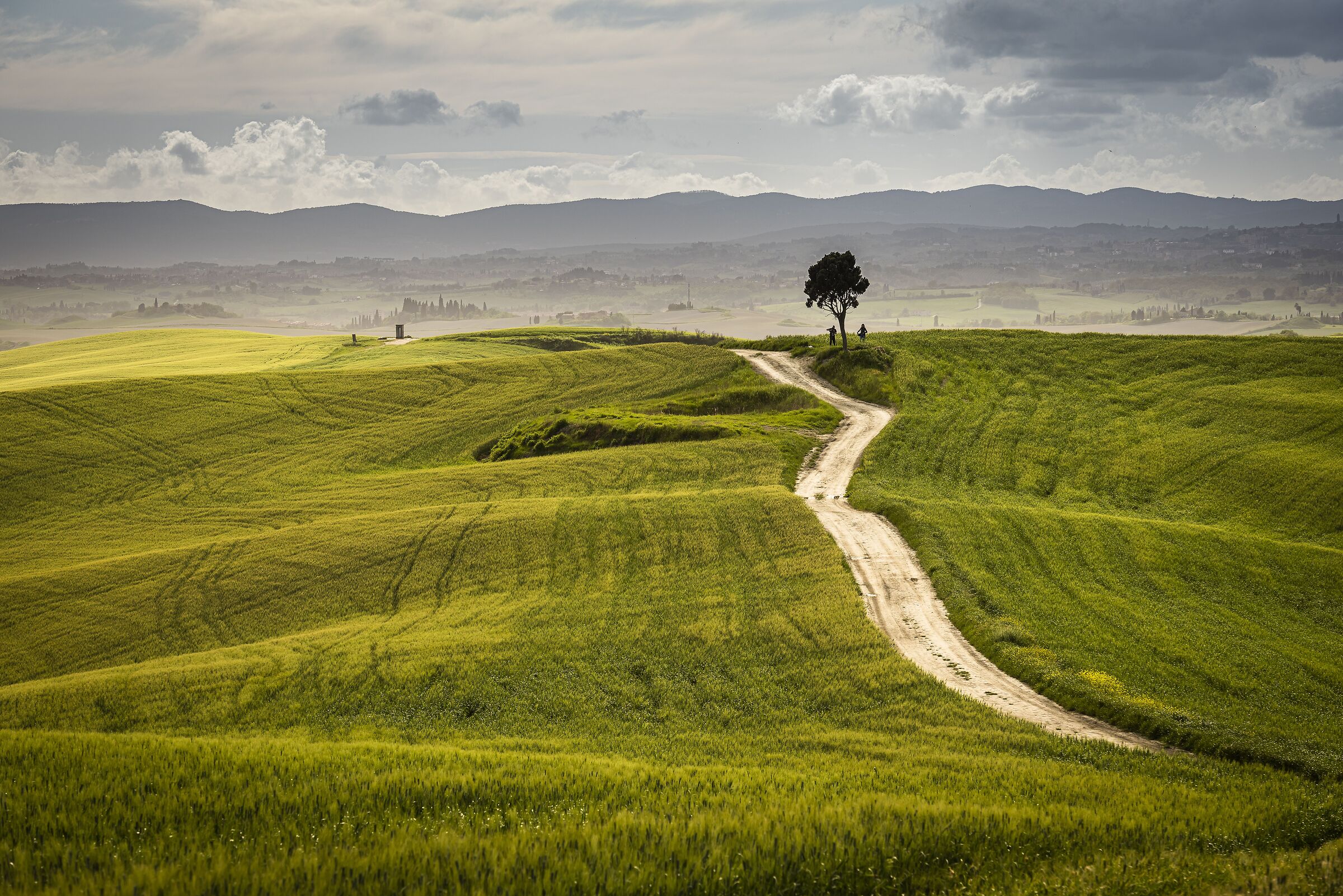 The long and winding road