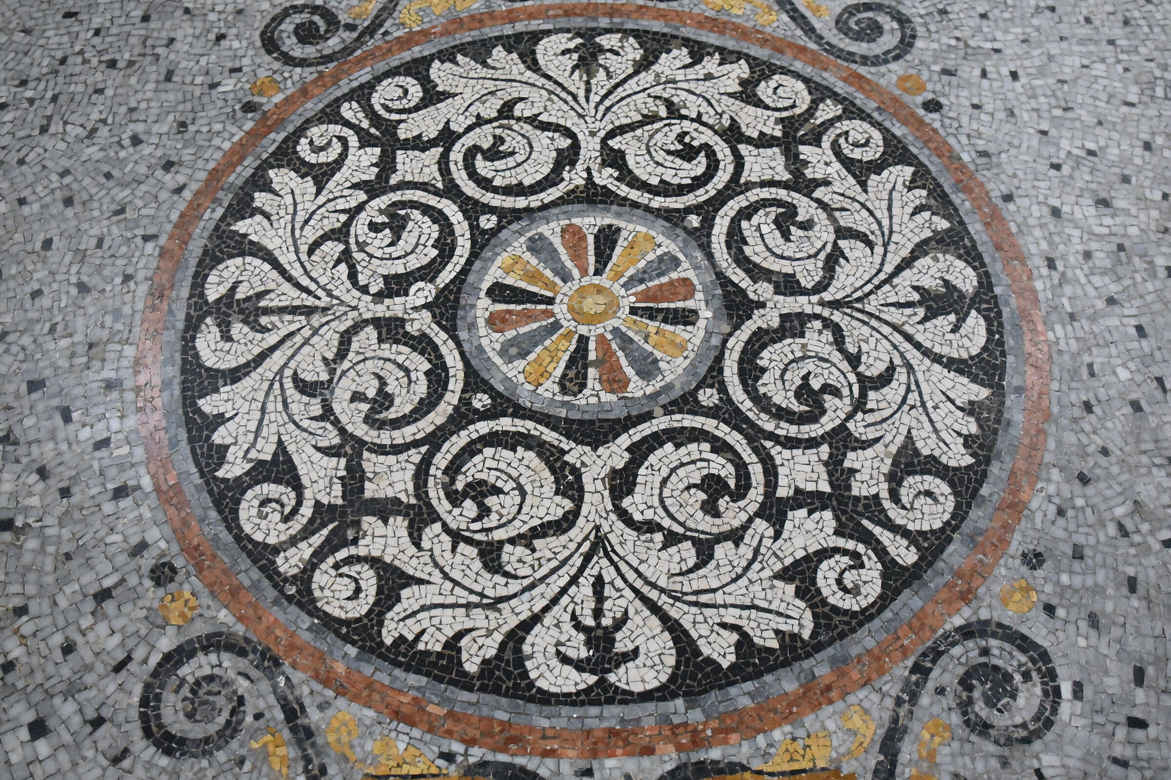 " ISO 8.0 0 0 ", F. 3.3, 1/ 250- Tamron 35 1.4 usd