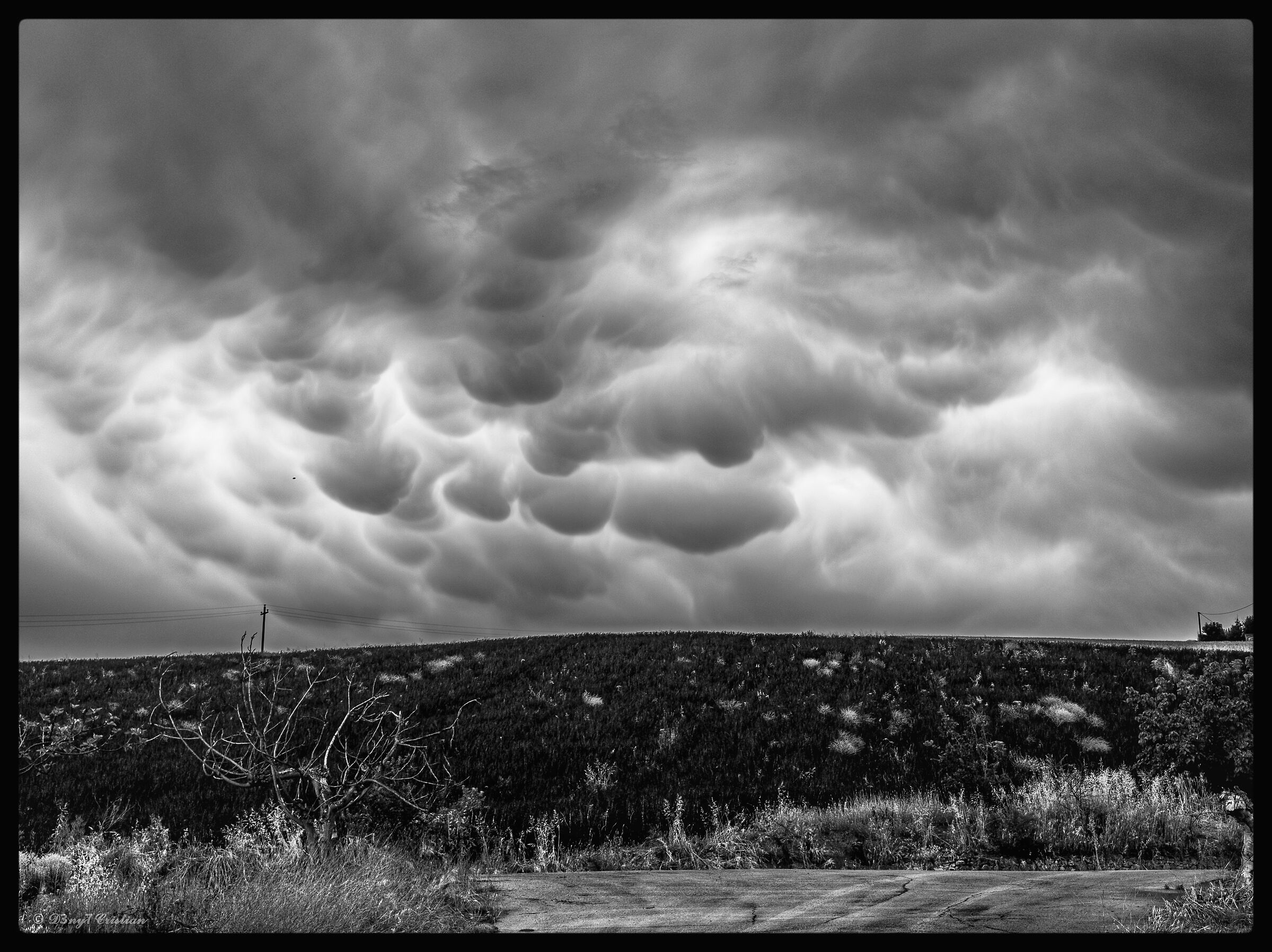 Mammatus clouds