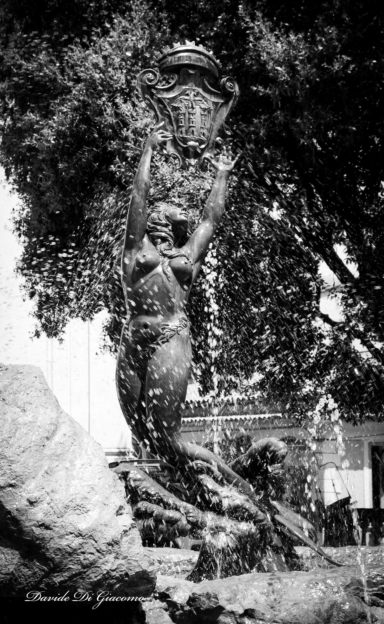 La sirena