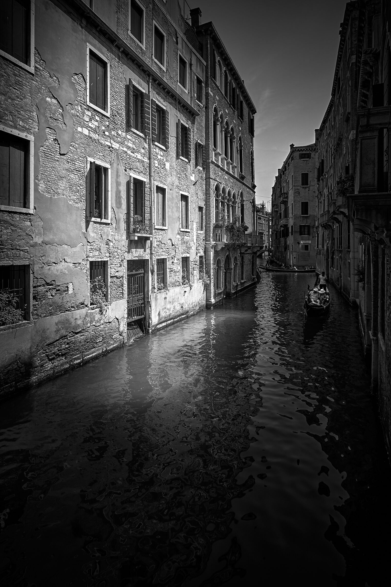 Venice bn