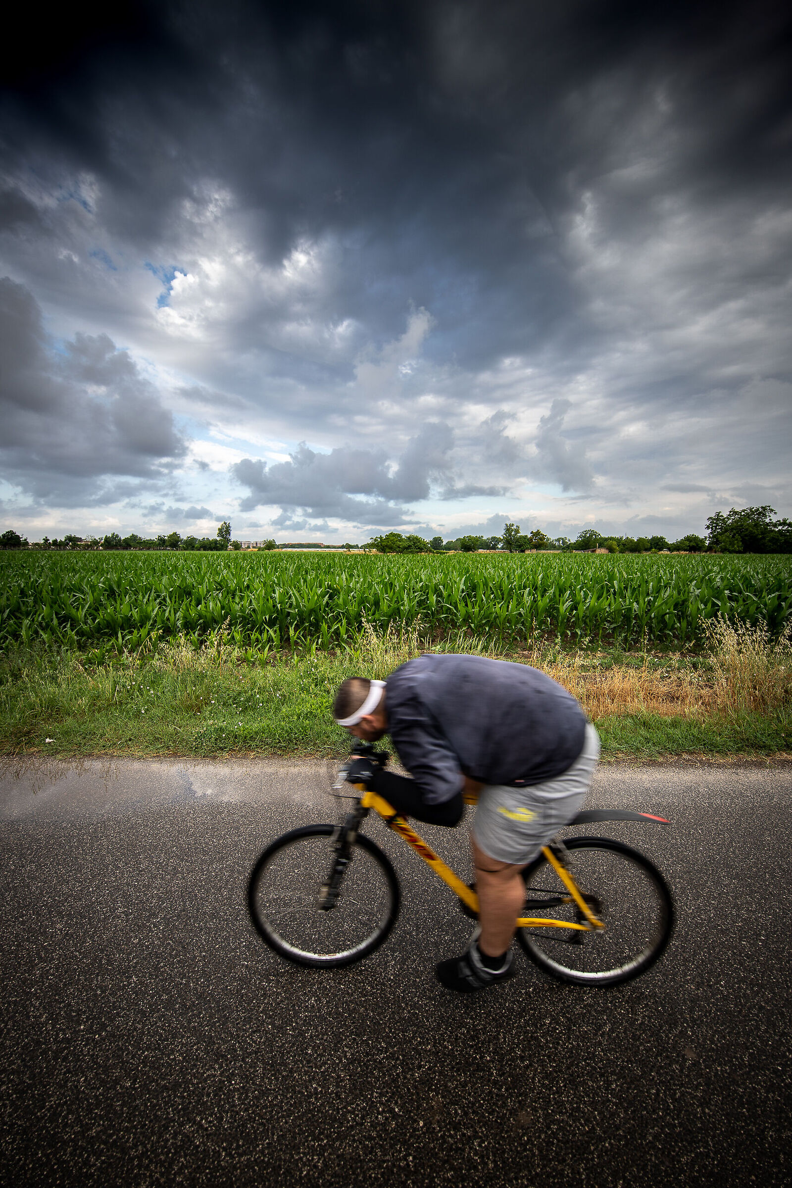 Il ciclista