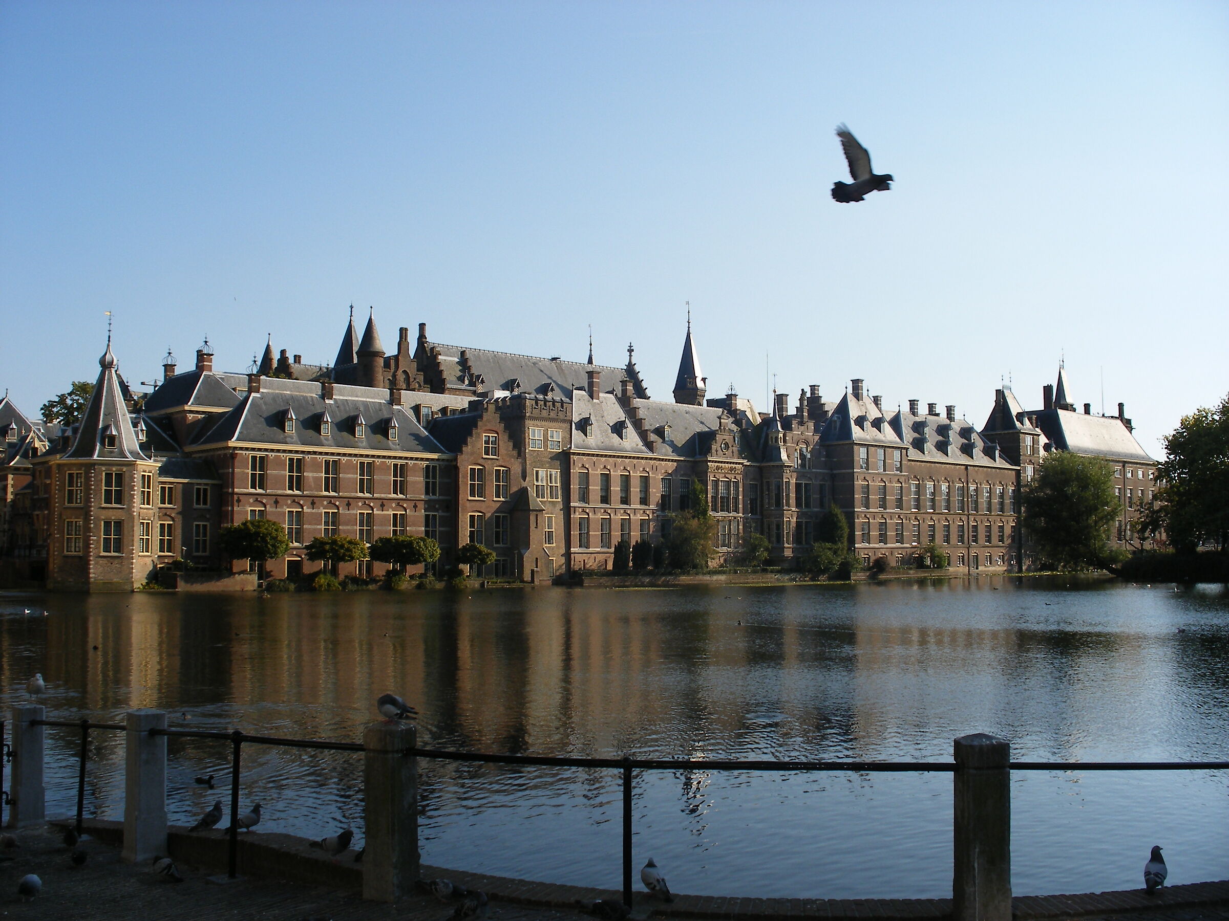 The Hague