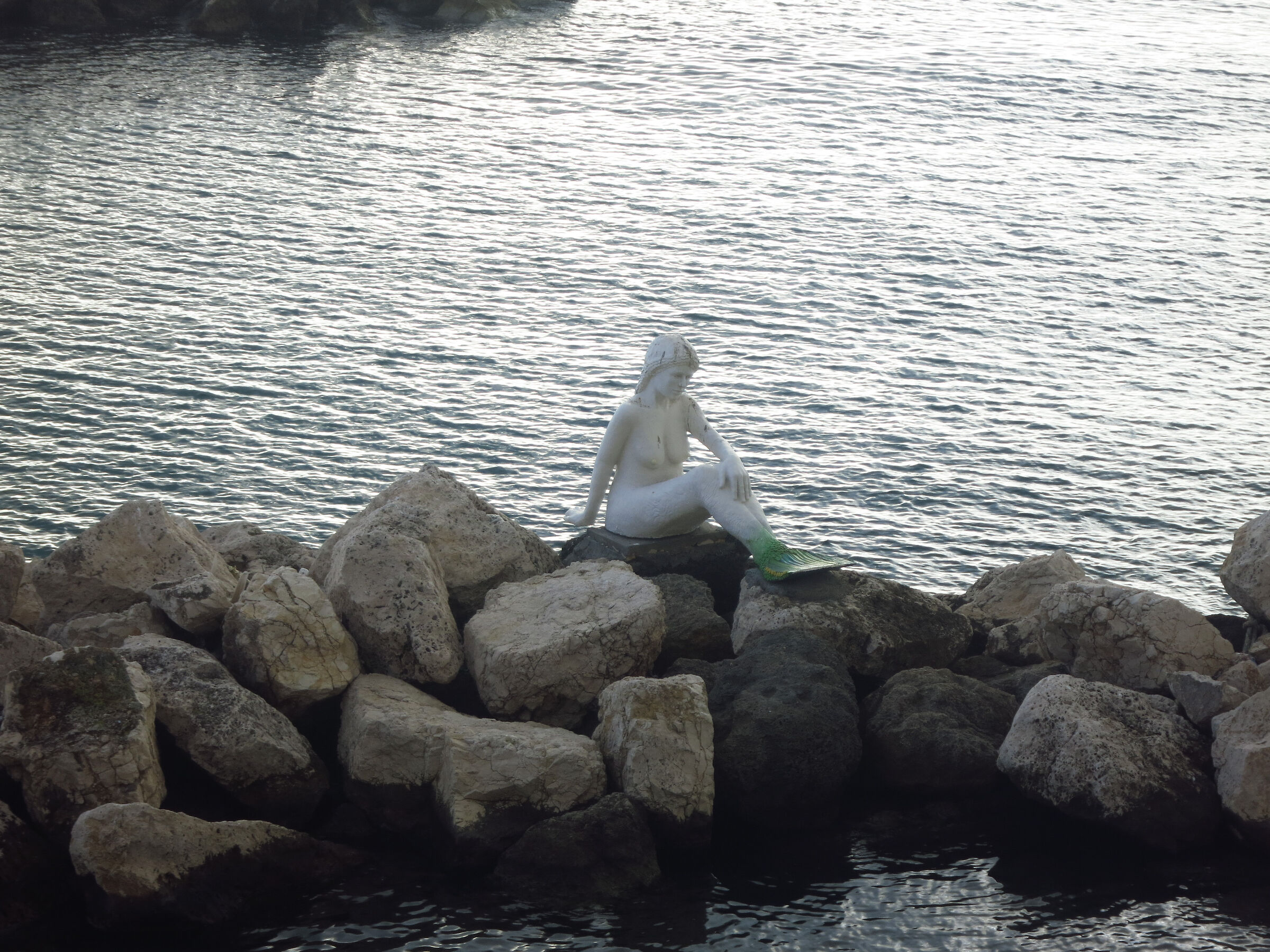 The mermaid on the rocks