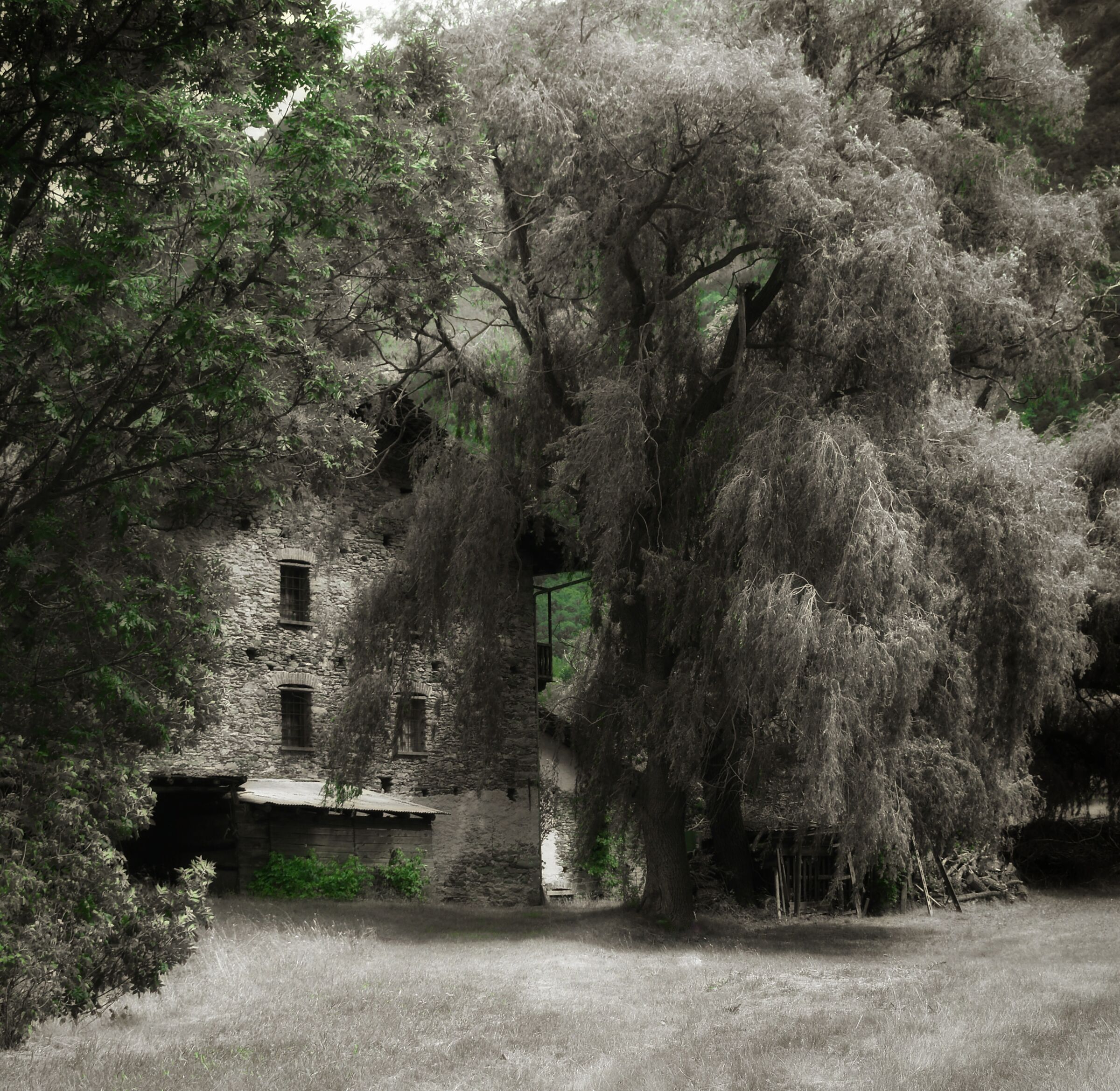 The vanishing of memories