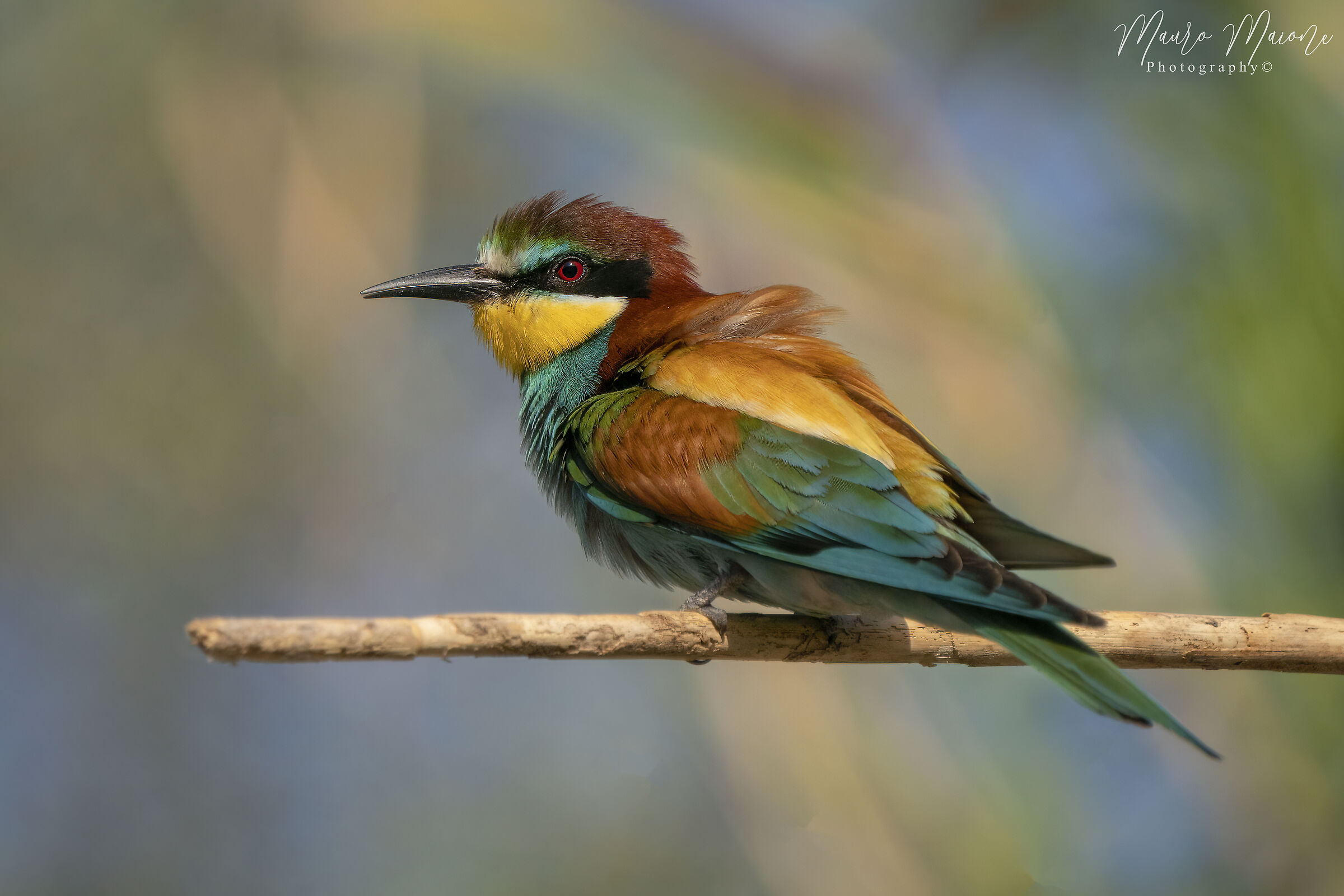i colori della natura