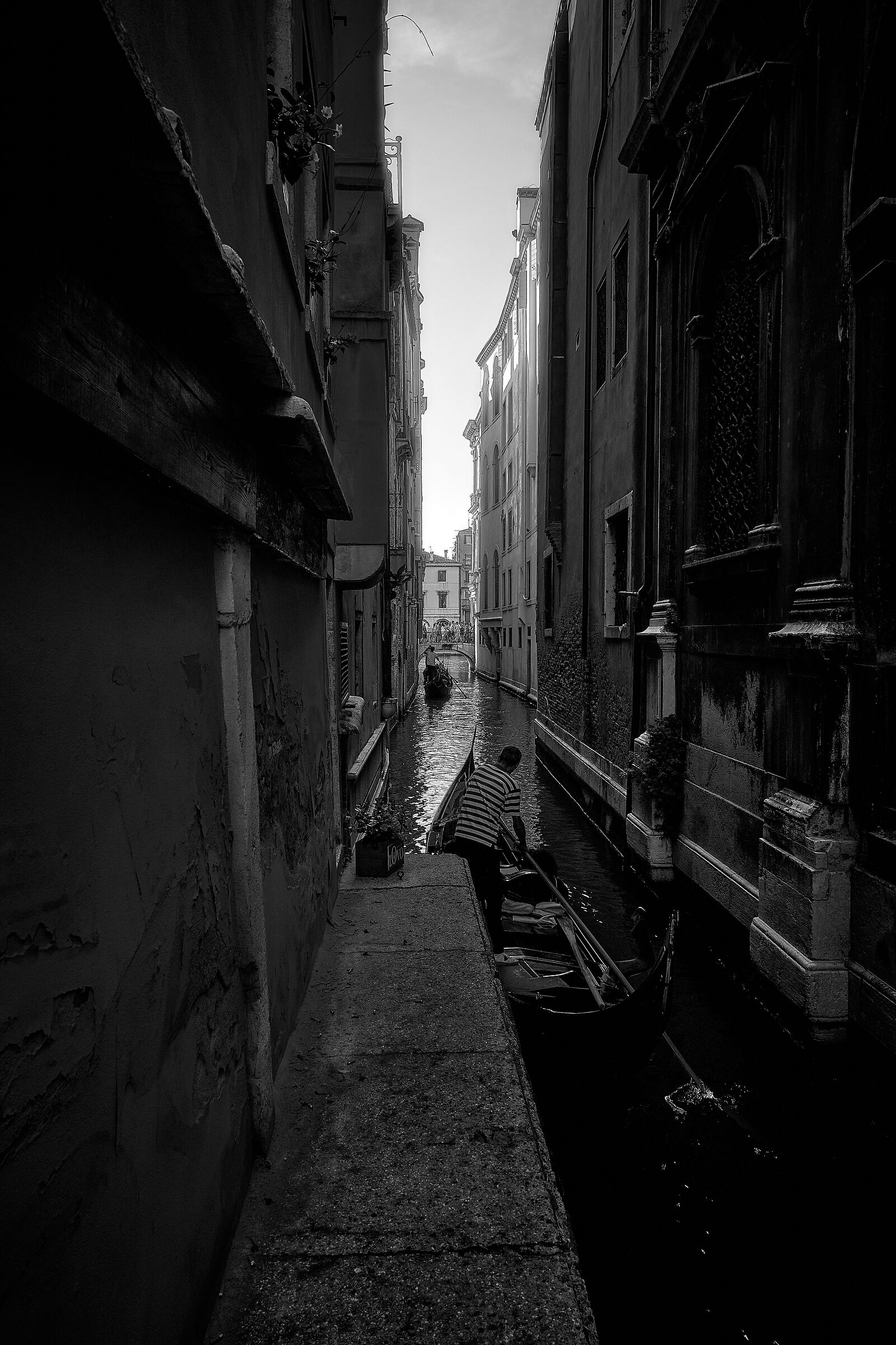 Venice bn