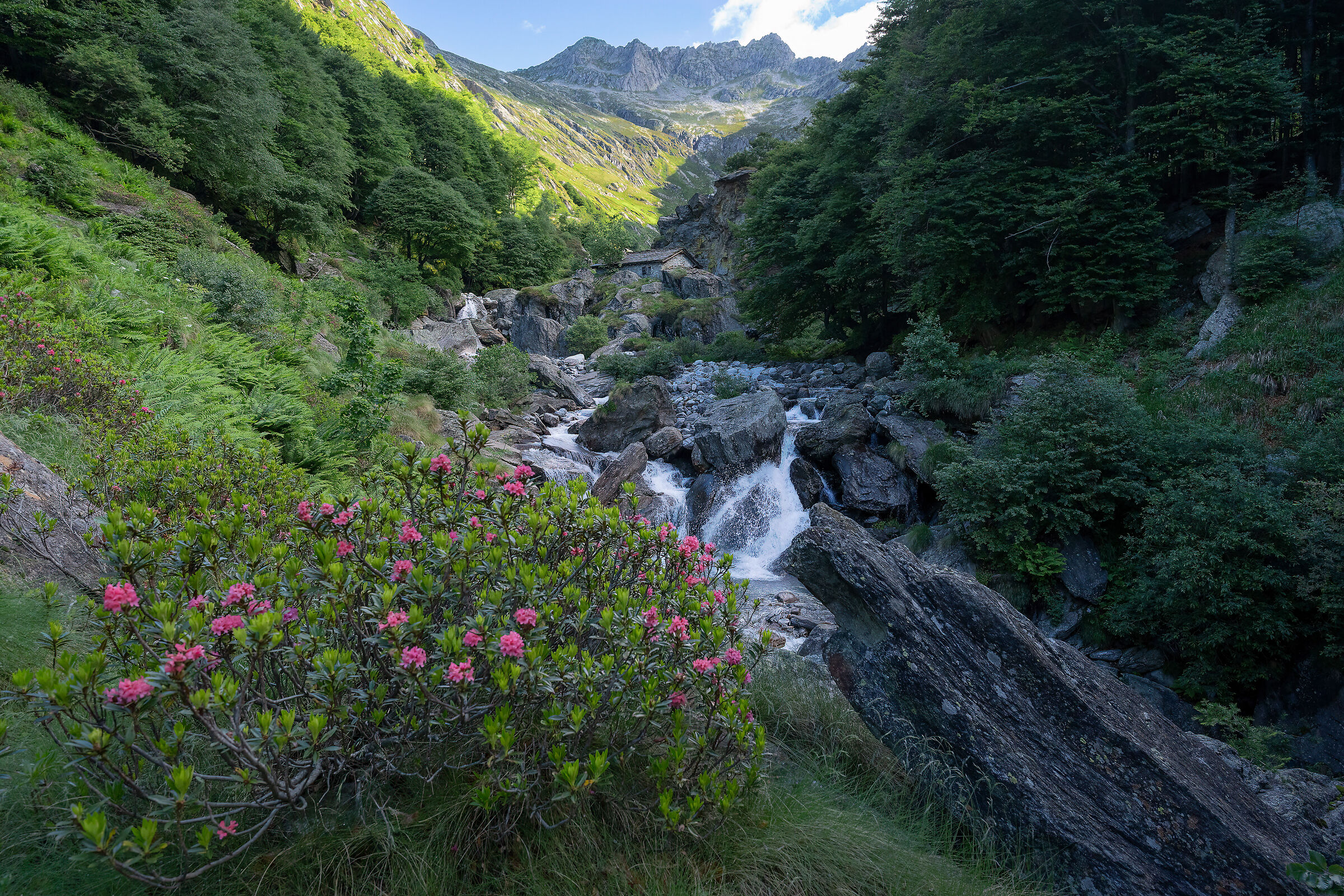 Magic valley
