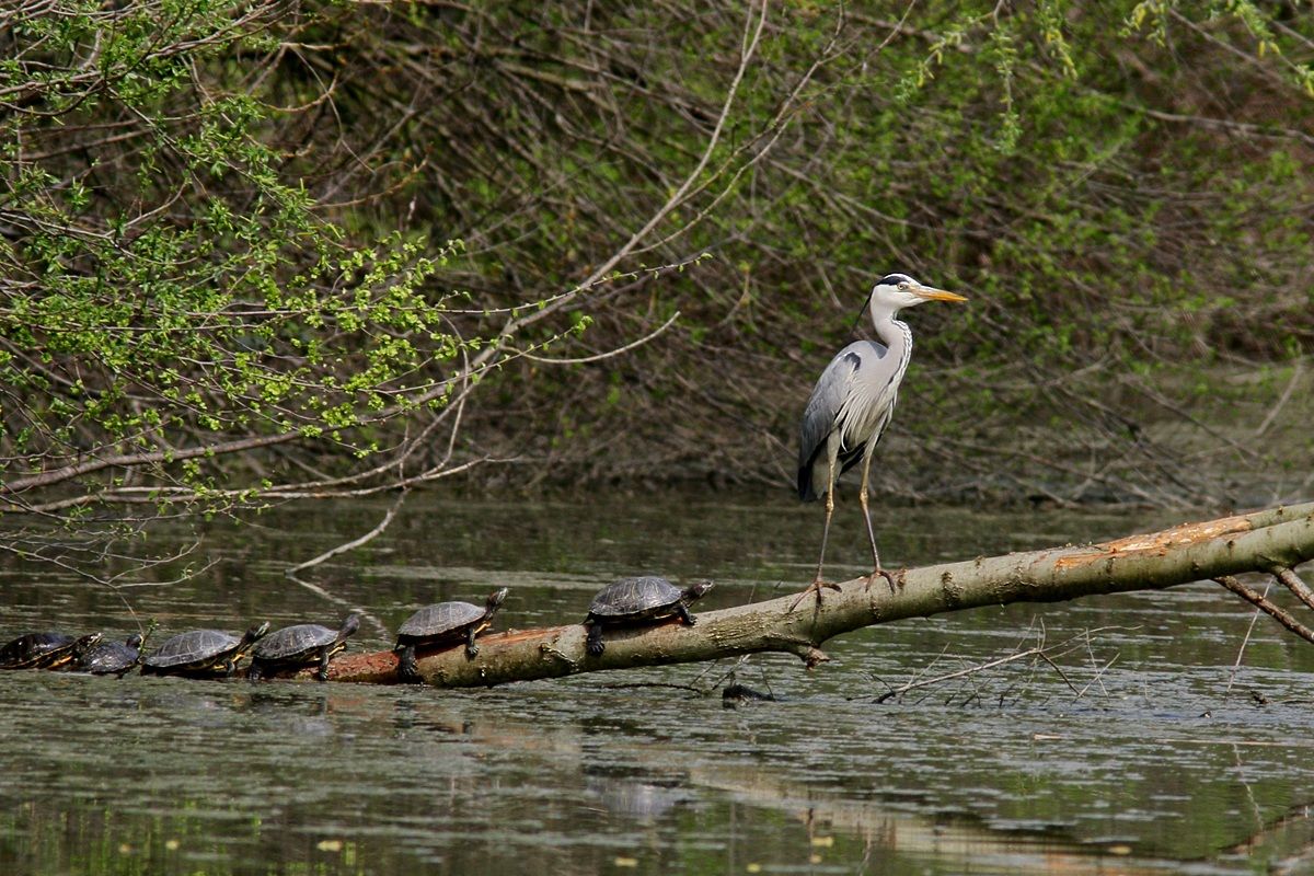 Avanti c'è posto! Si fa per dire.