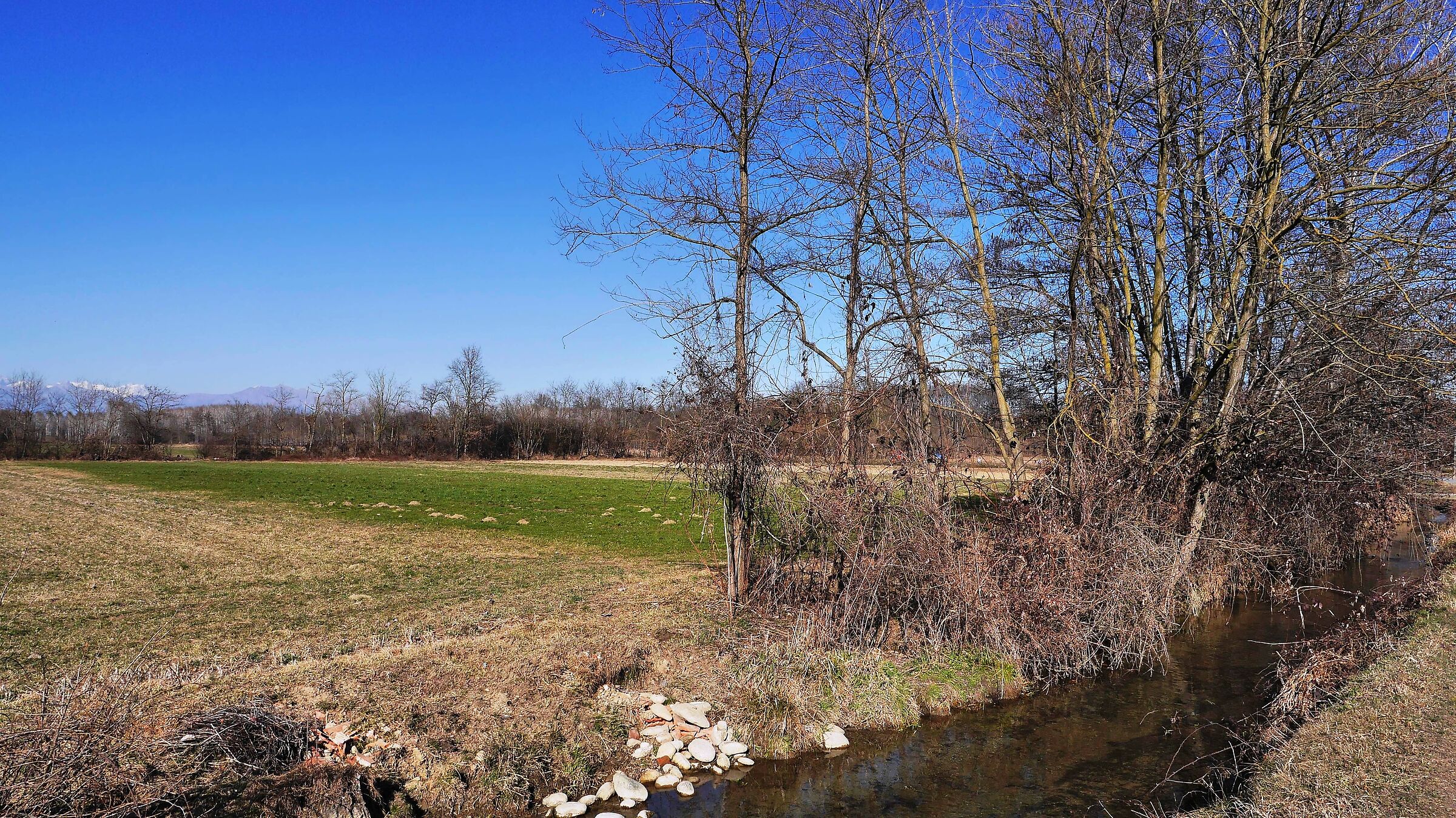 Campagna di Foglizzo