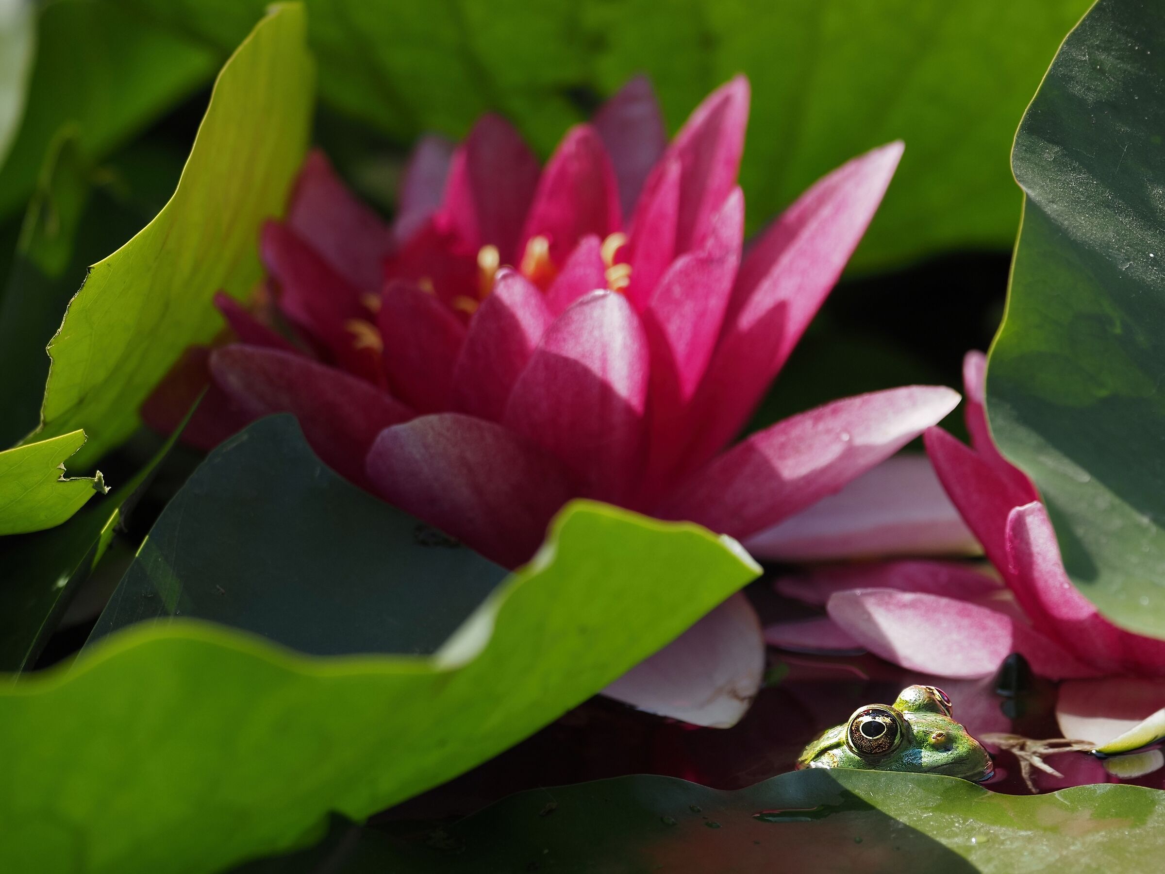 Search for the subject