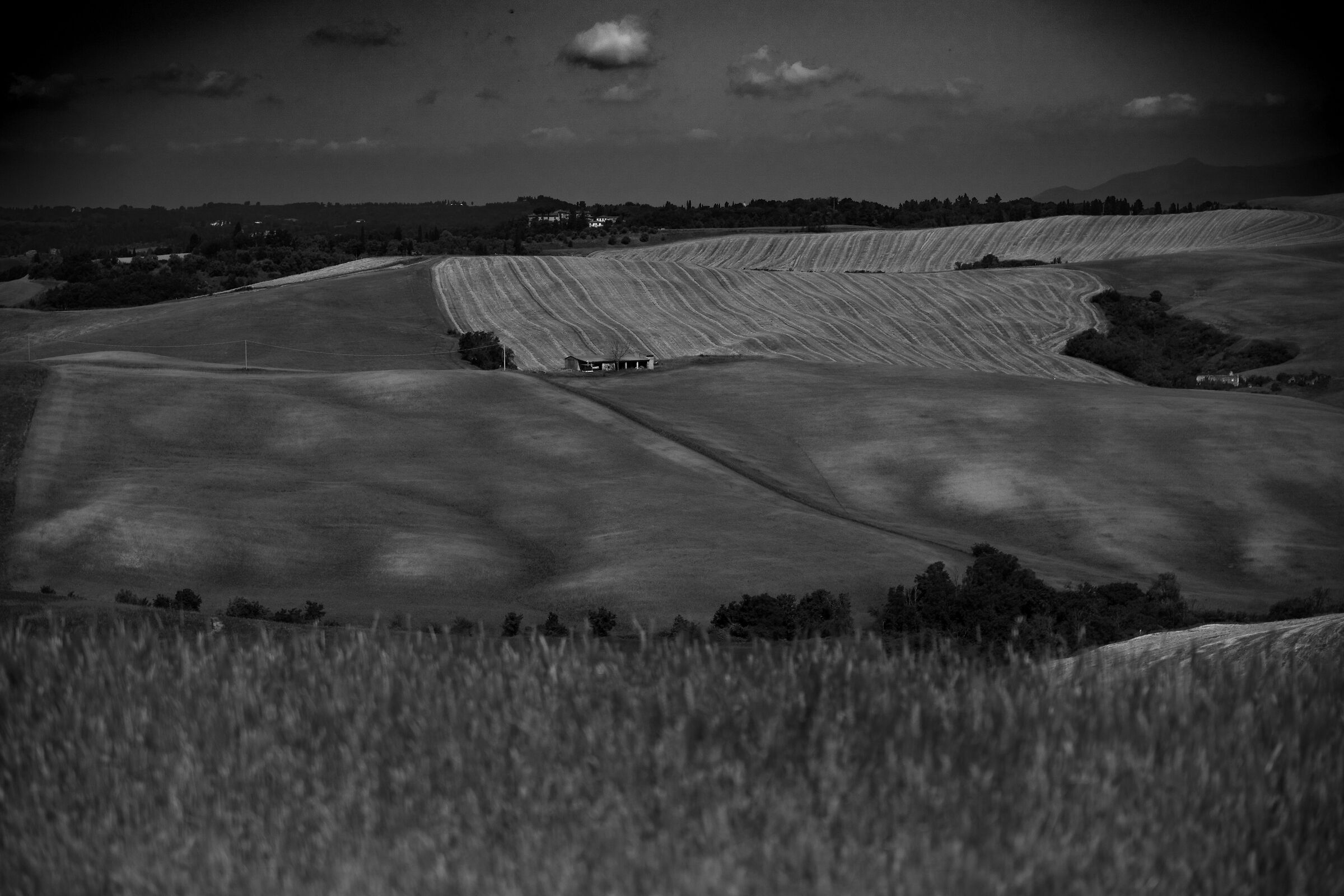 The hills of Montaione (FI)