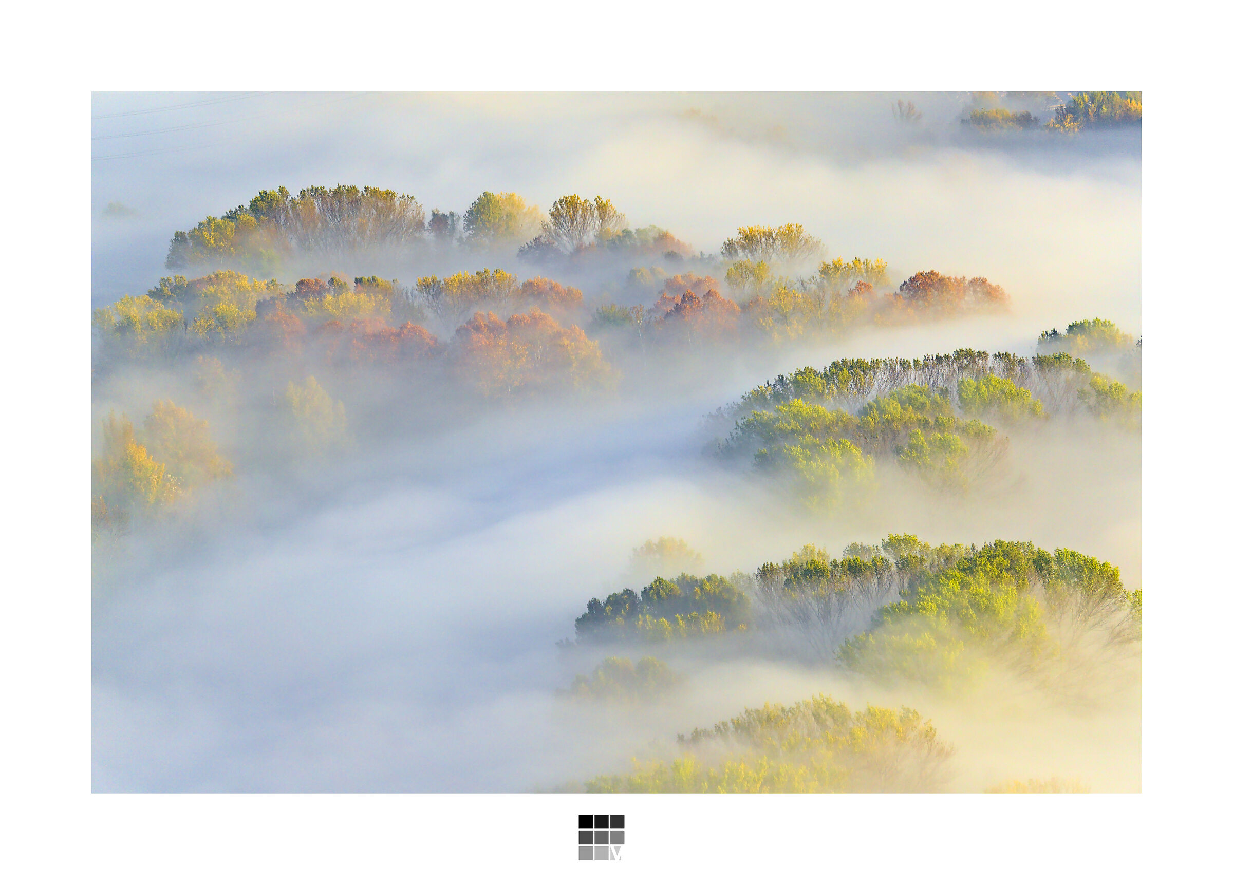Mists #3