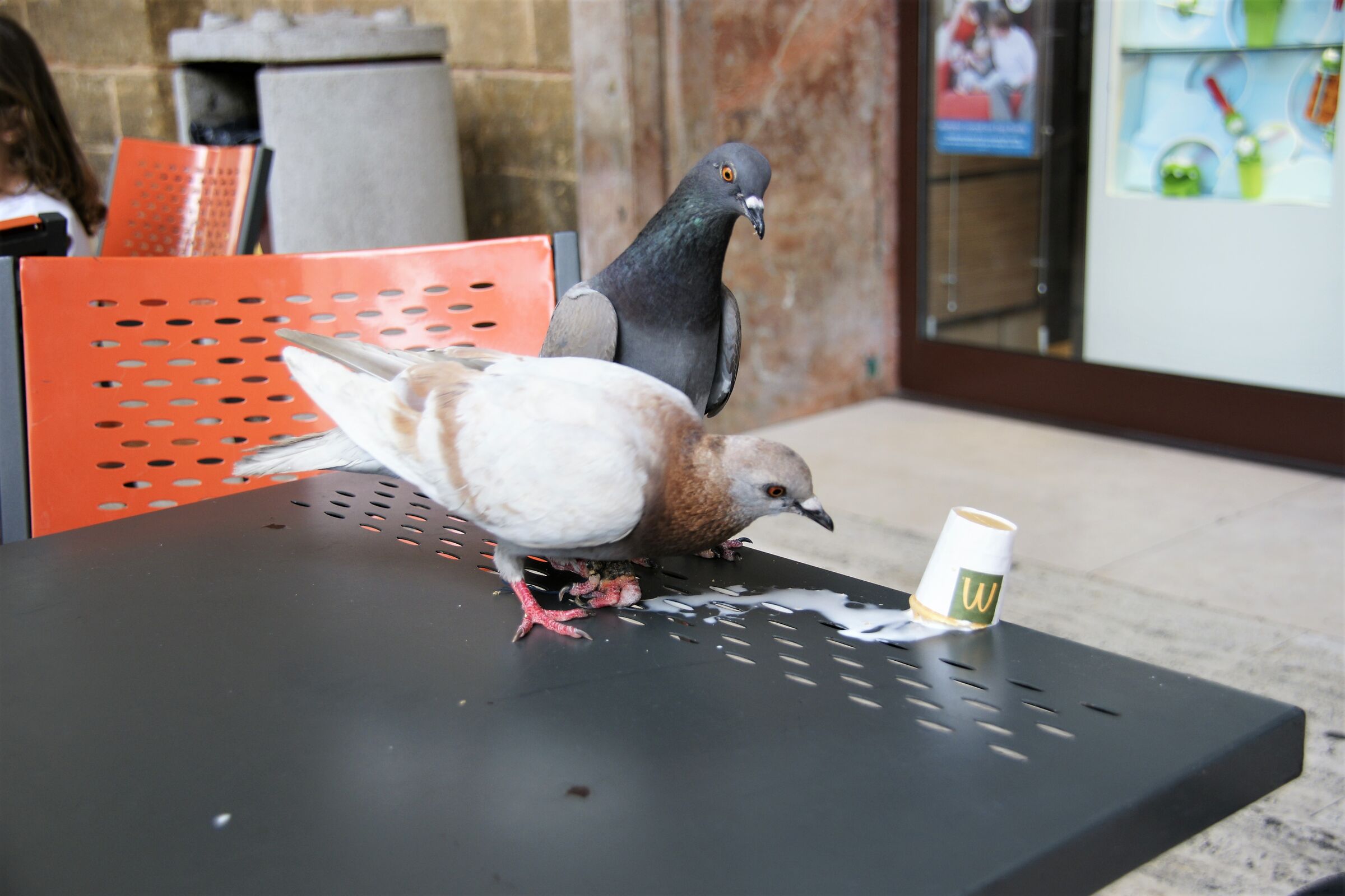 Tutti da Mac Donald's