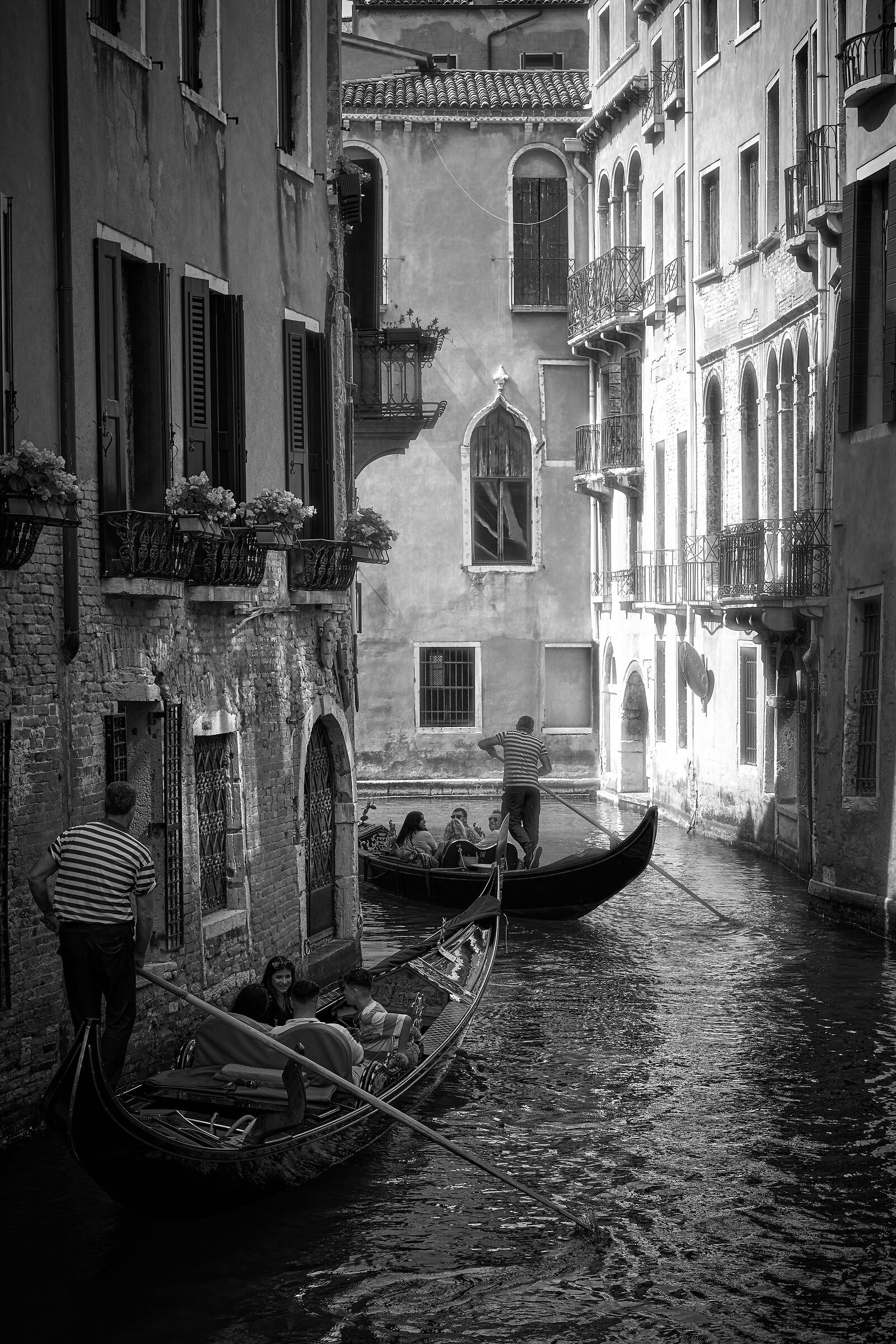 Venice bn