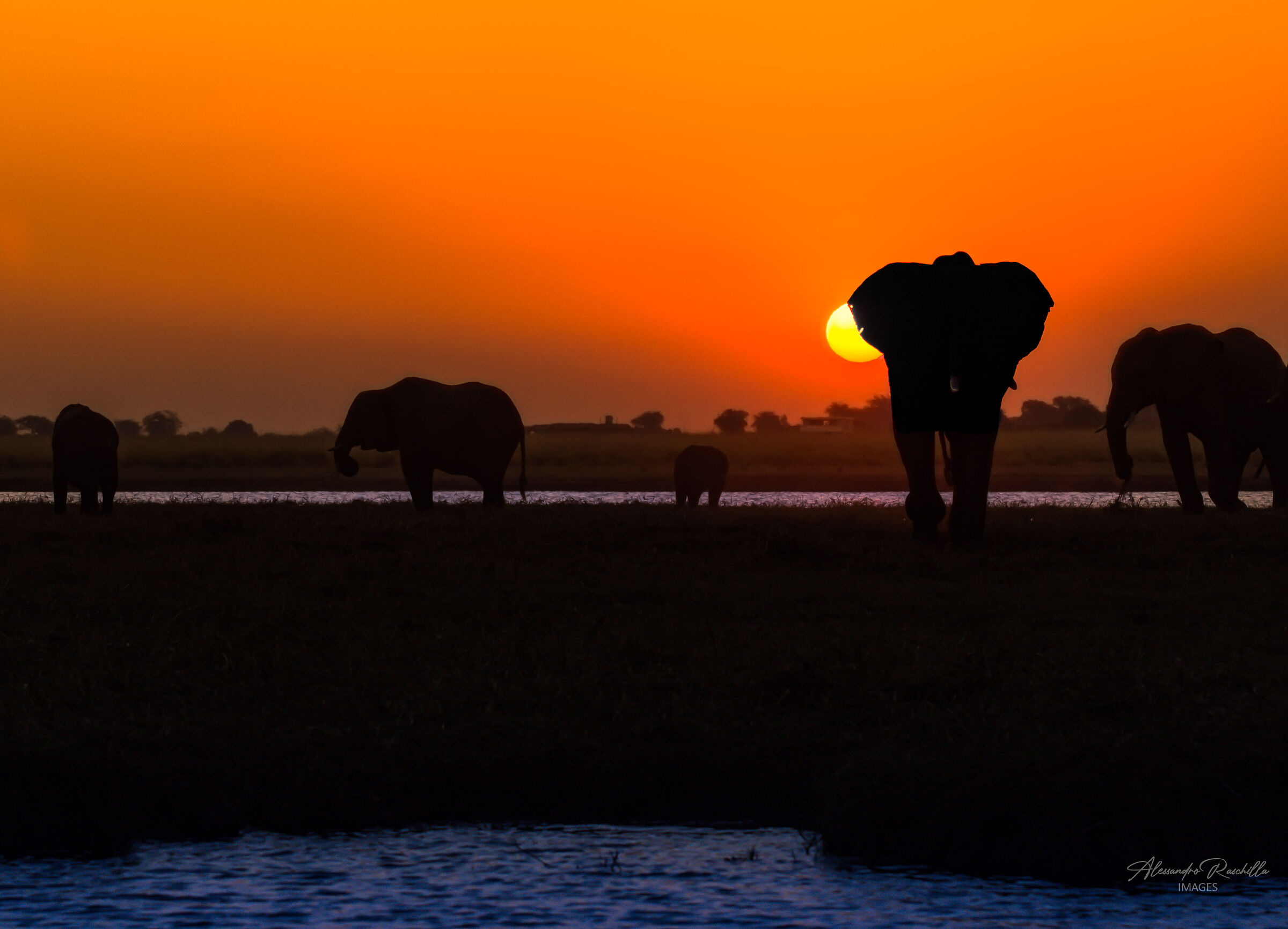 Tramonto sul delta dell'Okavango